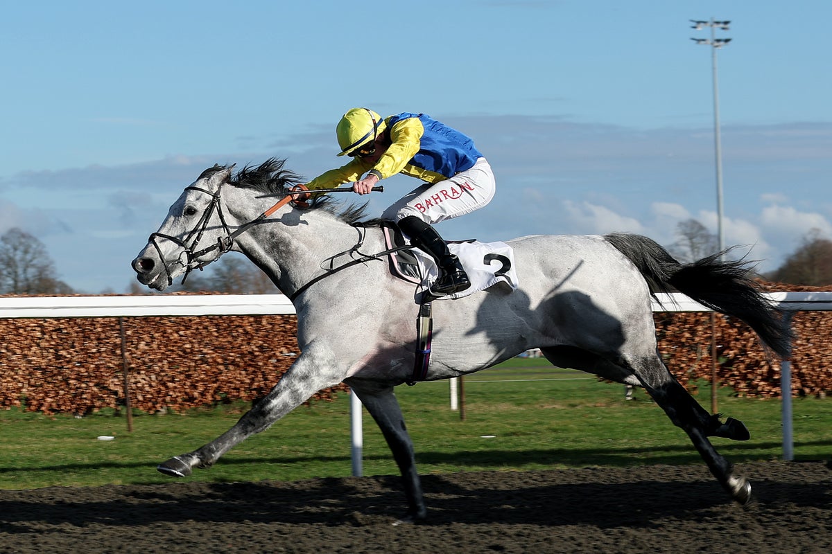 Saturday tips: Best bets and odds on racing at Kempton and Fairyhouse