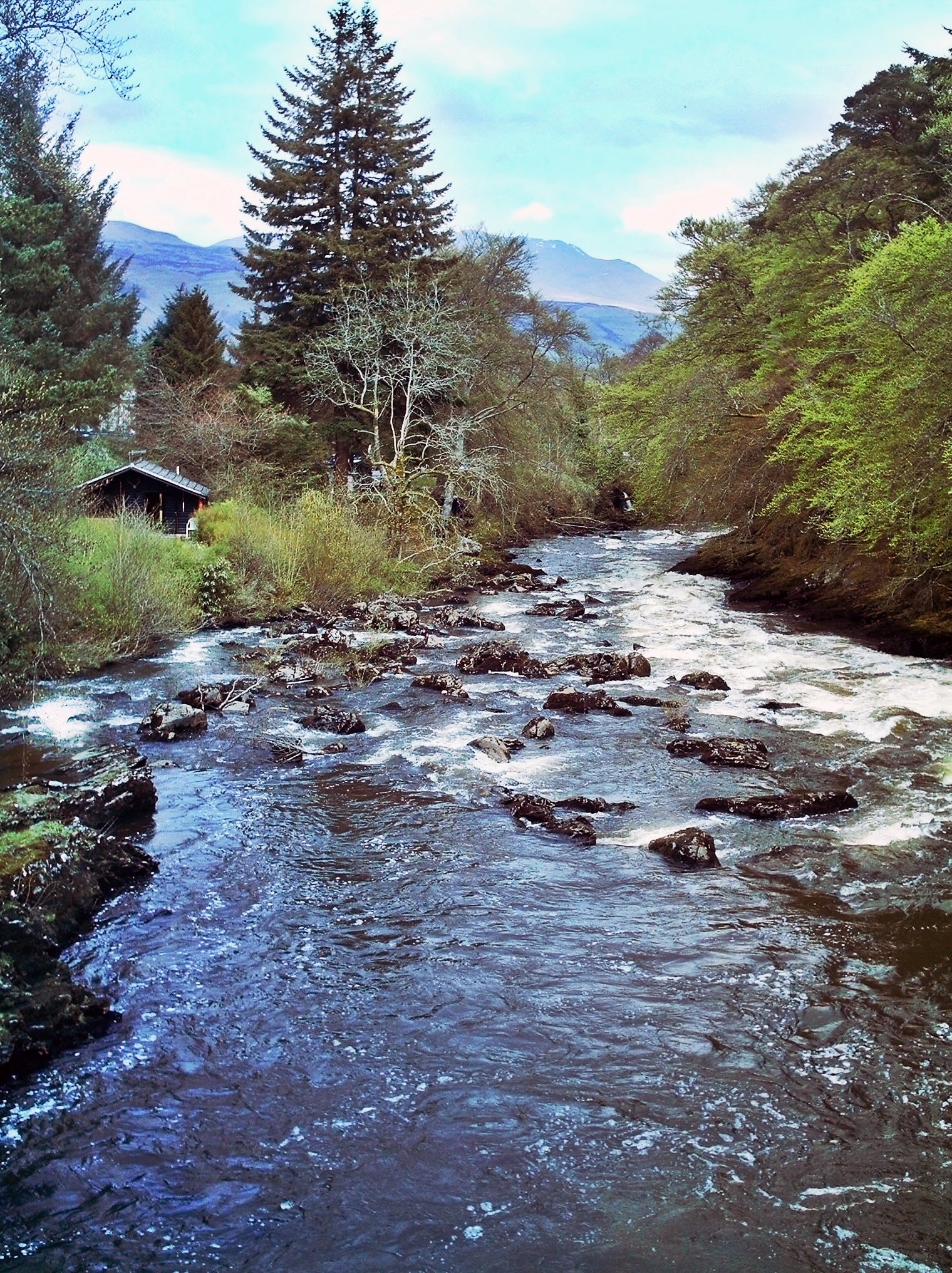 A “major contamination incident” in the River Dochart has been declared
