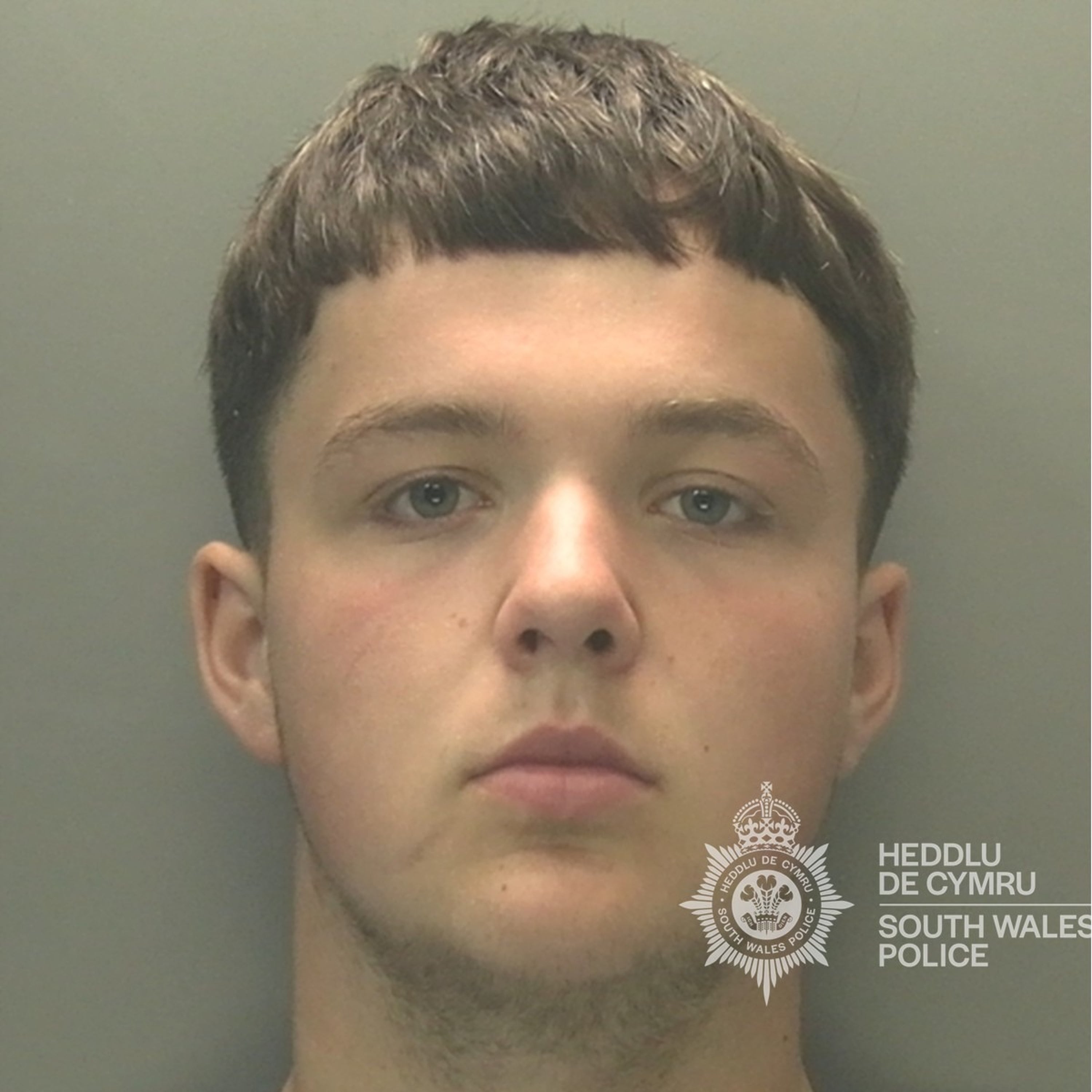 Marcus Staniforth, 17, was sentenced at Cardiff Crown Court