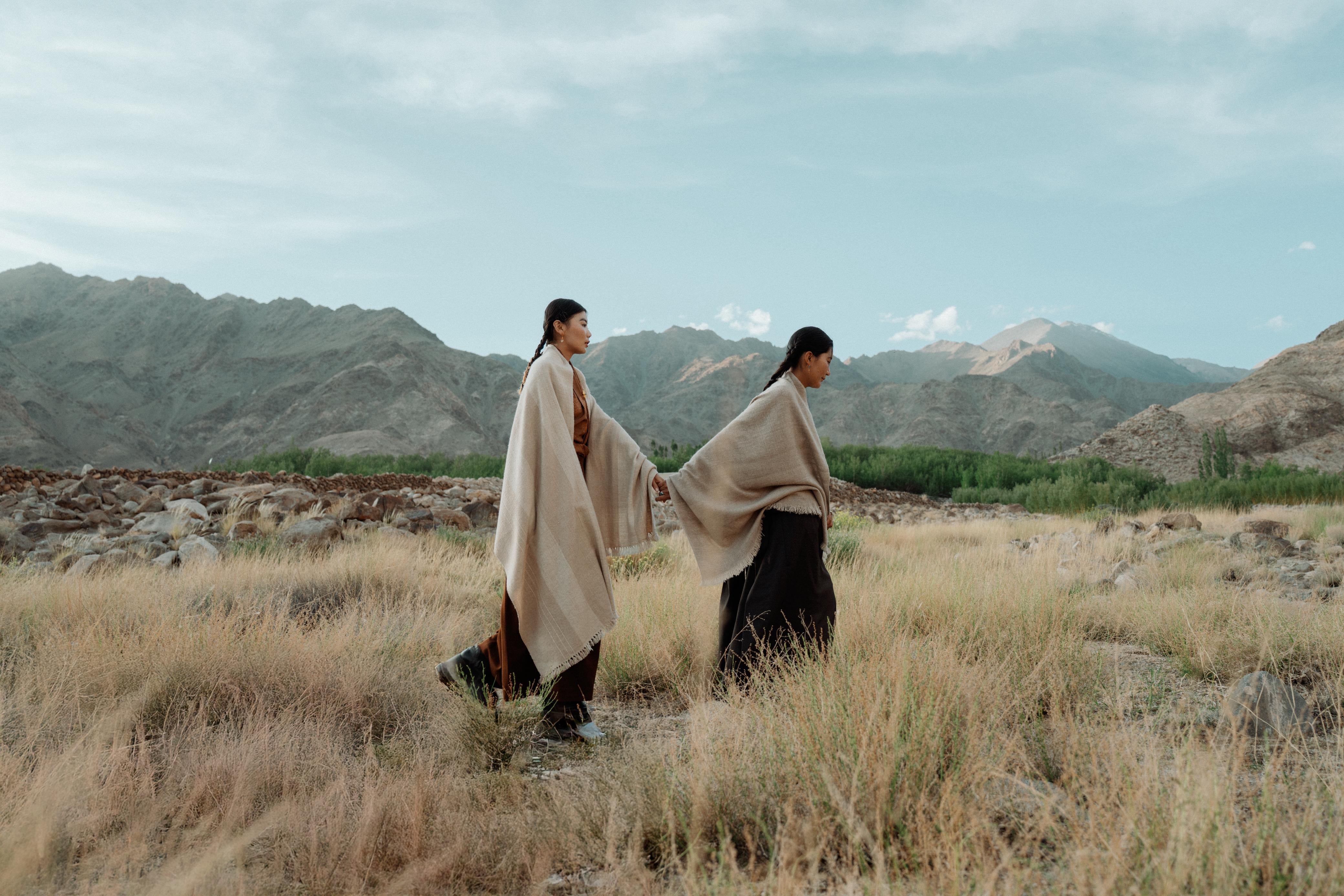 Ladakh is the source of pashmina