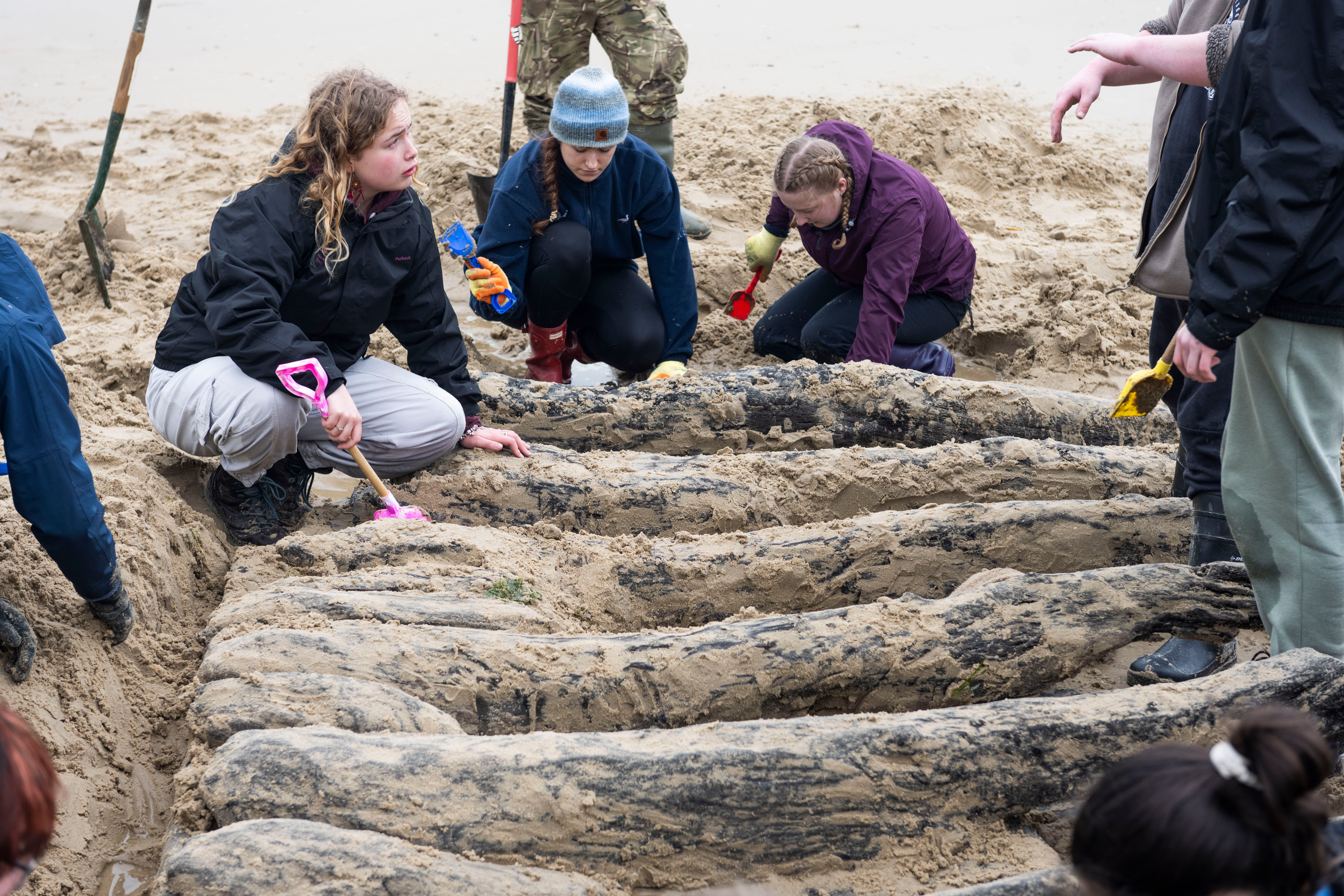 पुरातत्वशास्त्रज्ञांनी 17 व्या शतकातील जहाजाच्या भग्नावस्थेचा भाग यशस्वीरित्या उत्खनन केला आहे जो हिवाळ्यातील वादळांमुळे नग्न समुद्रकिनाऱ्याच्या काठावर सापडला होता.
