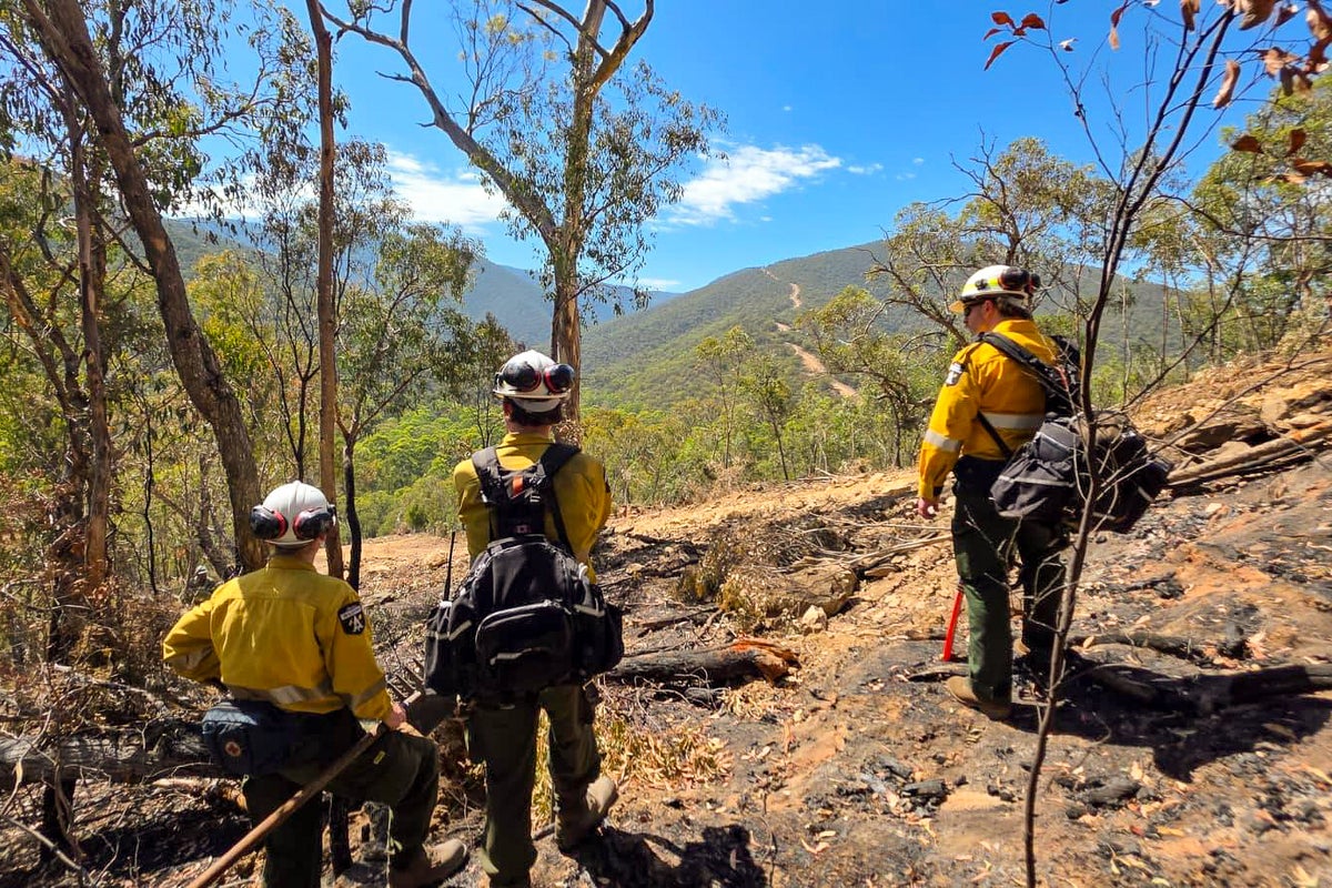‘Leave immediately’: Residents in Australia’s Victoria state urged to flee out-of-control bushfire – UK Times ‘Leave immediately’: Residents in Australia’s Victoria state urged to flee out-of-control bushfire – UK Times