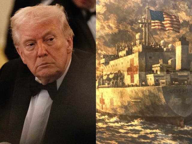 <p>President Donald Trump's post included an illustration of the USNS Mercy, one of two hospital ships operated by the US Navy</p>