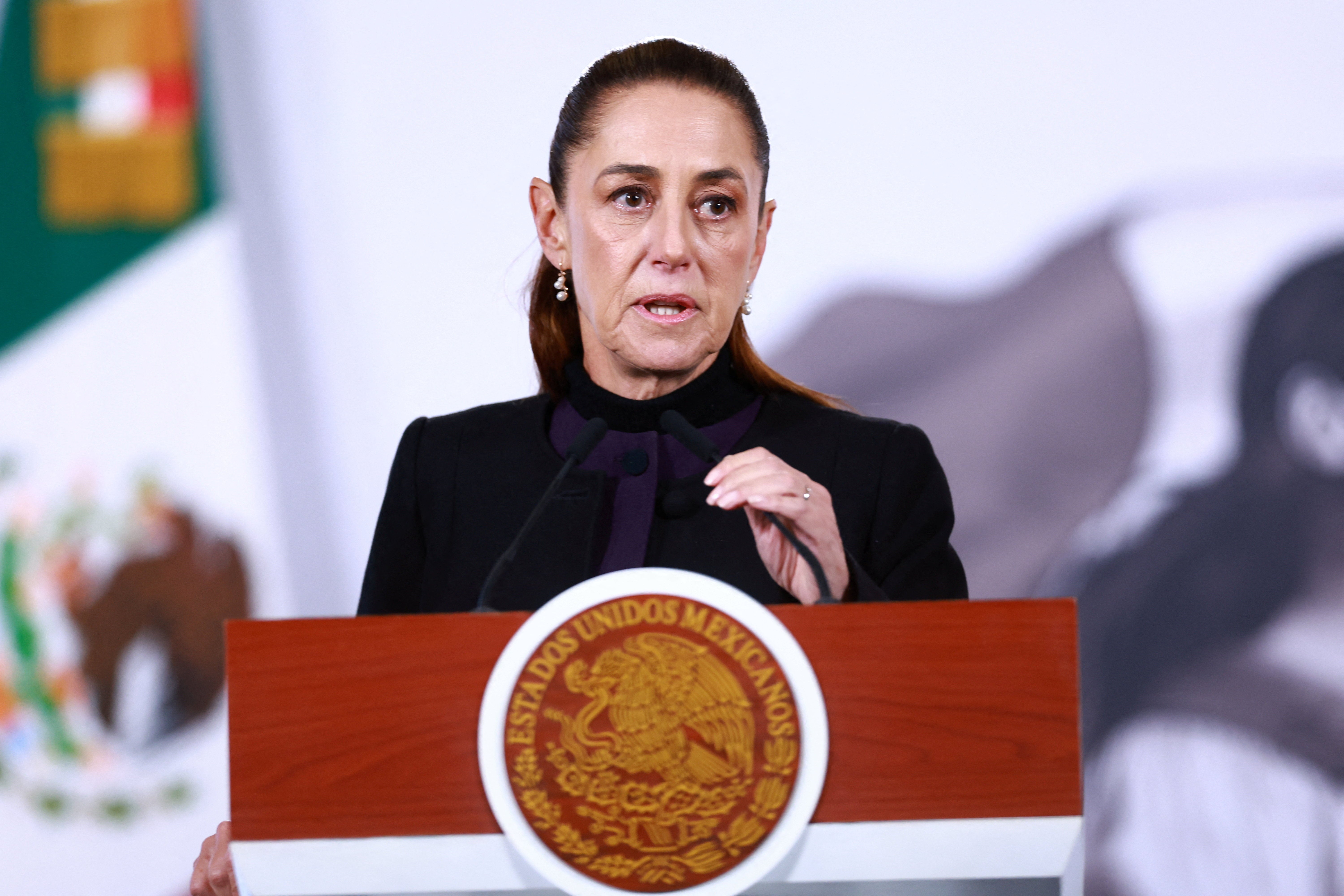 Mexican president threatens to sue Musk over ‘ridiculous’ claim she is controlled by drug cartels