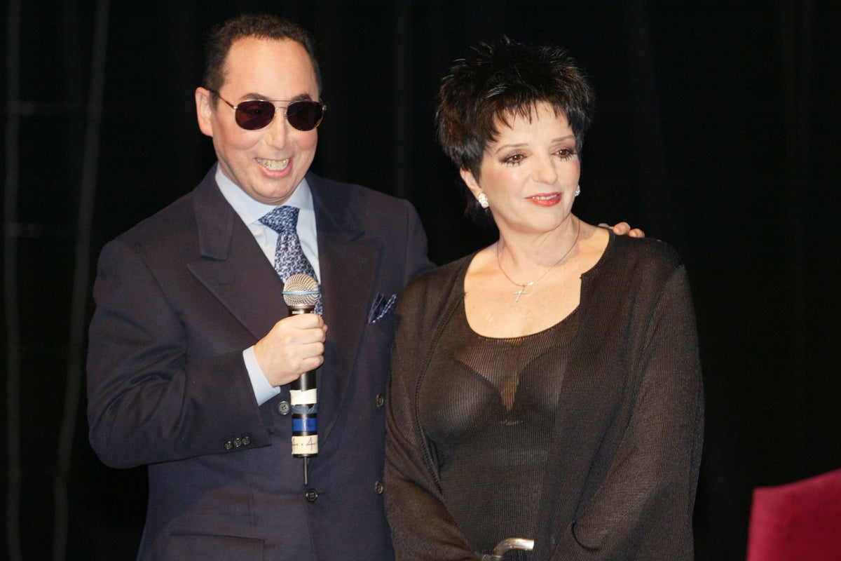 Liza Minnelli details ‘traumatising’ marriage to ‘conman clown’ David Gest: ‘I was his prisoner’ Liza Minnelli details ‘traumatising’ marriage to ‘conman clown’ David Gest: ‘I was his prisoner’