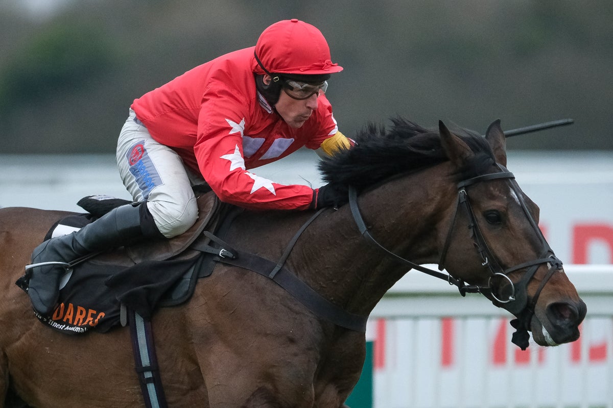 Ryanair Chase Odds: Latest prices & betting guide