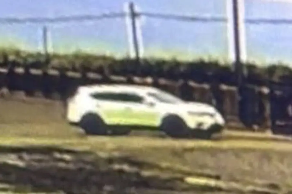 கோவிலில் இருந்து சிங்கை அழைத்துச் சென்ற வெள்ளை நிற எஸ்யூவி