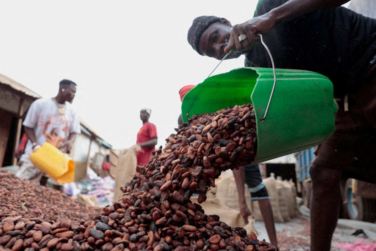 World’s largest cocoa producer faces growing crisis over unsold stocks