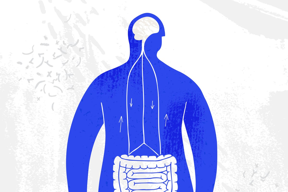 Why is everyone talking about the vagus nerve – and how it’s really affecting your health Why is everyone talking about the vagus nerve – and how it’s really affecting your health