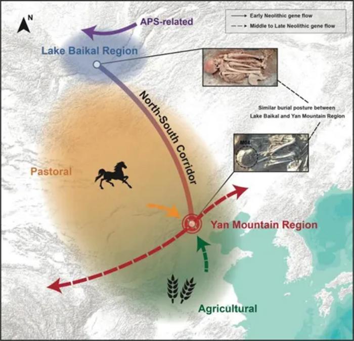 प्रागैतिहासिक जनुक प्रवाह आणि यान पर्वत प्रदेशात आणि त्याच्या आसपासच्या सांस्कृतिक संवादाचे चित्रण