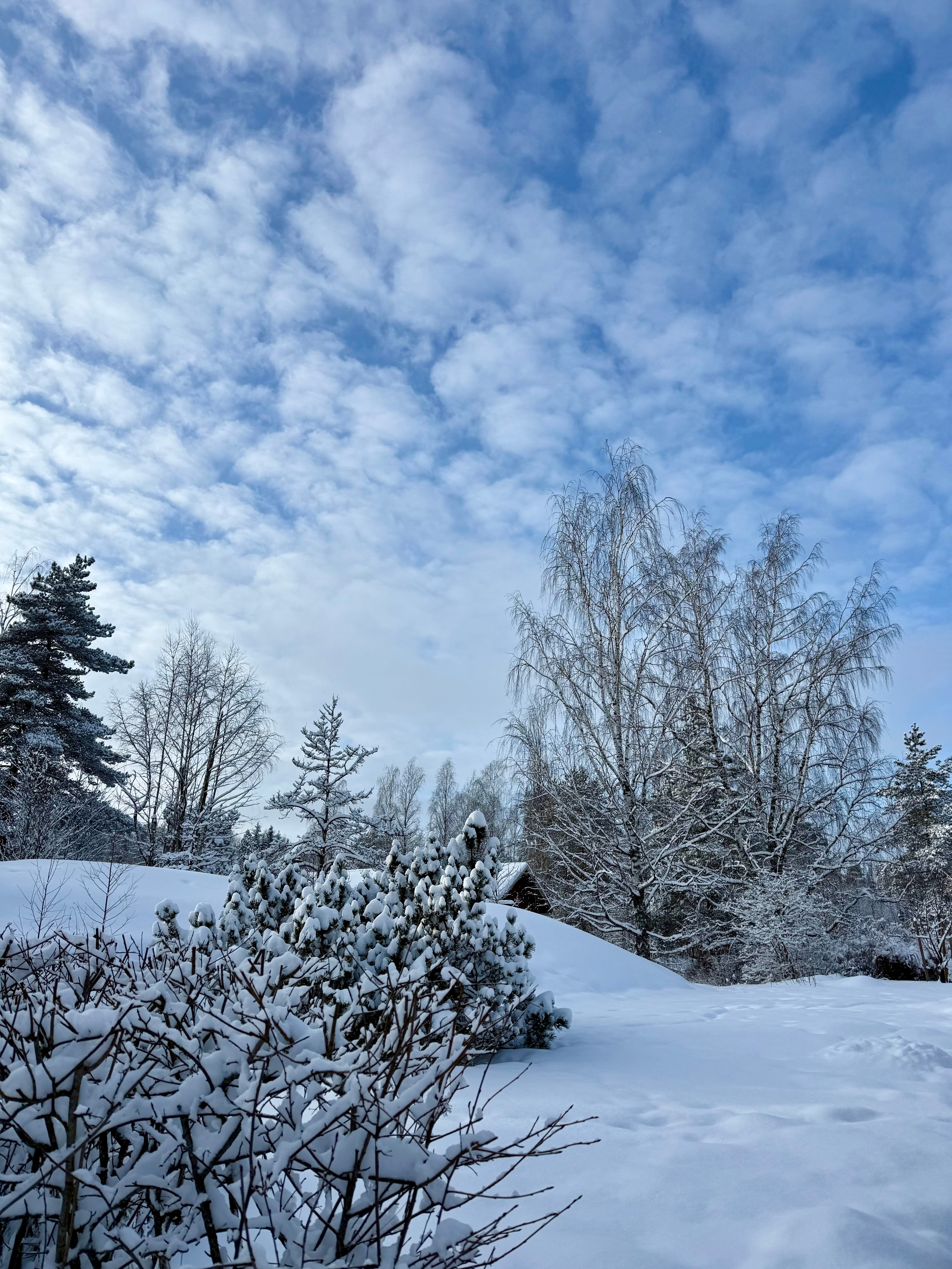 You’ll discover a snowy wonderland at Joensuun Tila in Sipoo