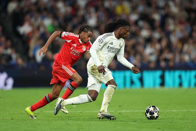 <p>Un aficionado fue expulsado del partido del Real Madrid contra el Benfica</p>