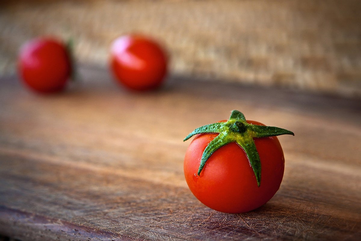 Scientists create world’s first tomatoes that smell like ‘buttered popcorn’ – UK Times Scientists create world’s first tomatoes that smell like ‘buttered popcorn’ – UK Times