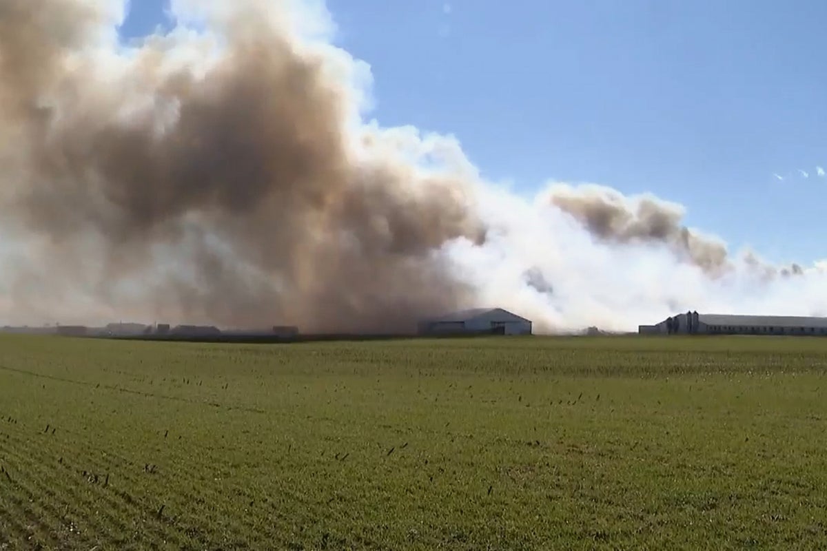 Devastating Fire Claims 6,000 Hogs at Ohio Farm