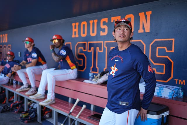 CARDENALES ASTROS