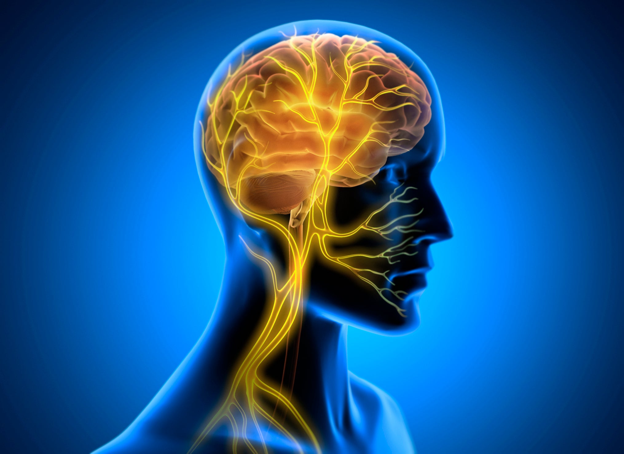 The truth about vagus nerve stimulation and whether it benefits your health