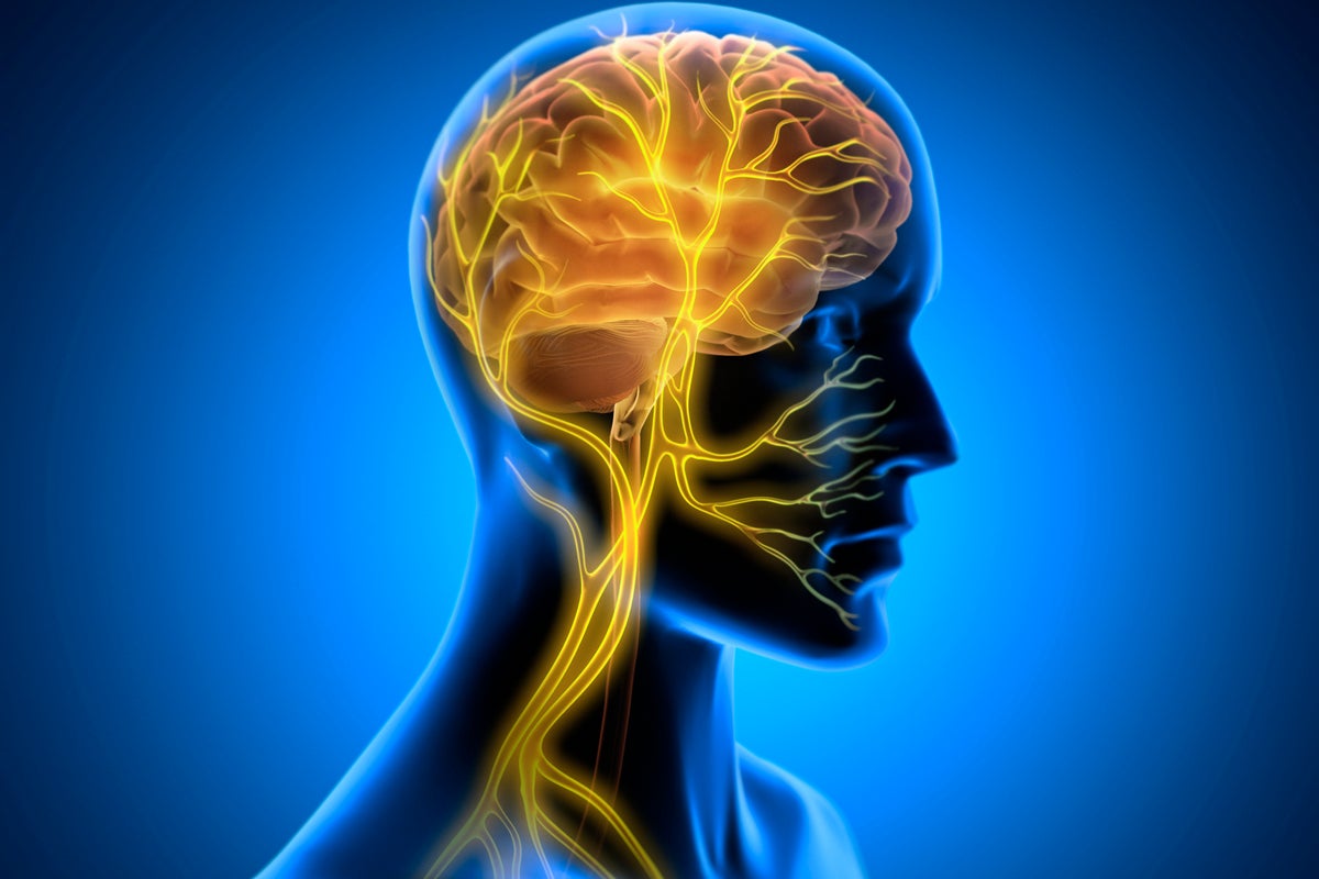 The truth about vagus nerve stimulation and whether it benefits your health The truth about vagus nerve stimulation and whether it benefits your health