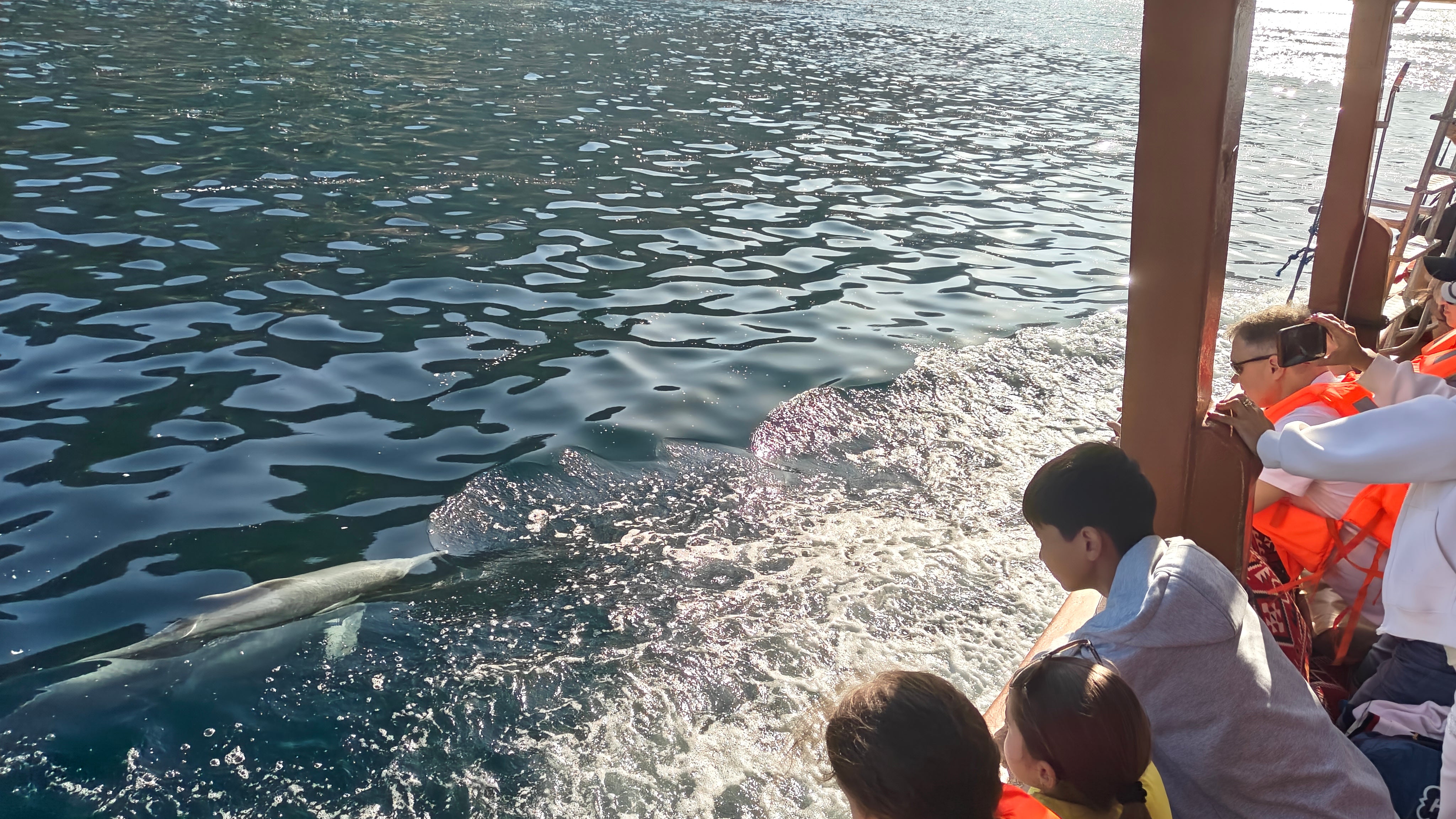 Children stare as a dolphin emerges from the water in Khasab, Oman