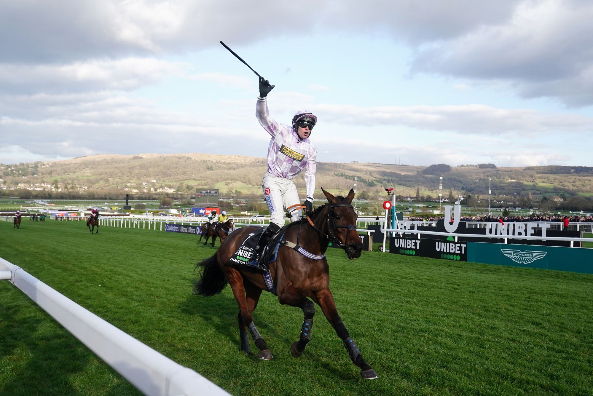 independent.co.uk - Chris Wilson - Champion Hurdle odds: Latest prices & betting guide