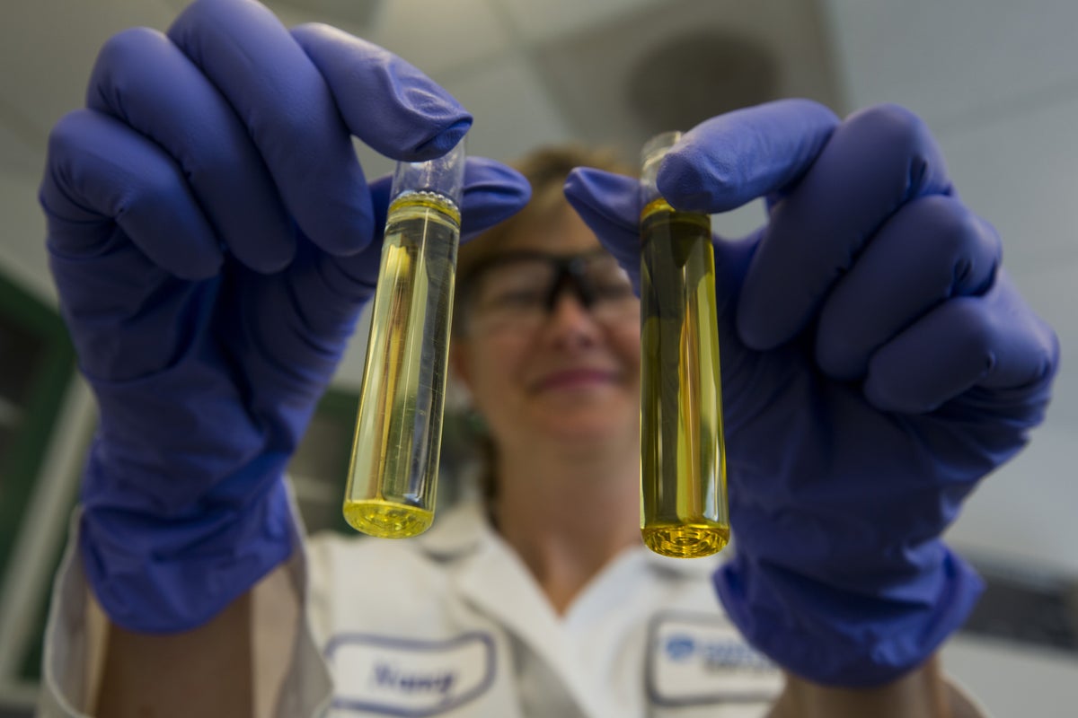 Brain supplements have become a social media wellness trend – but are they safe to take? – UK Times Brain supplements have become a social media wellness trend – but are they safe to take? – UK Times