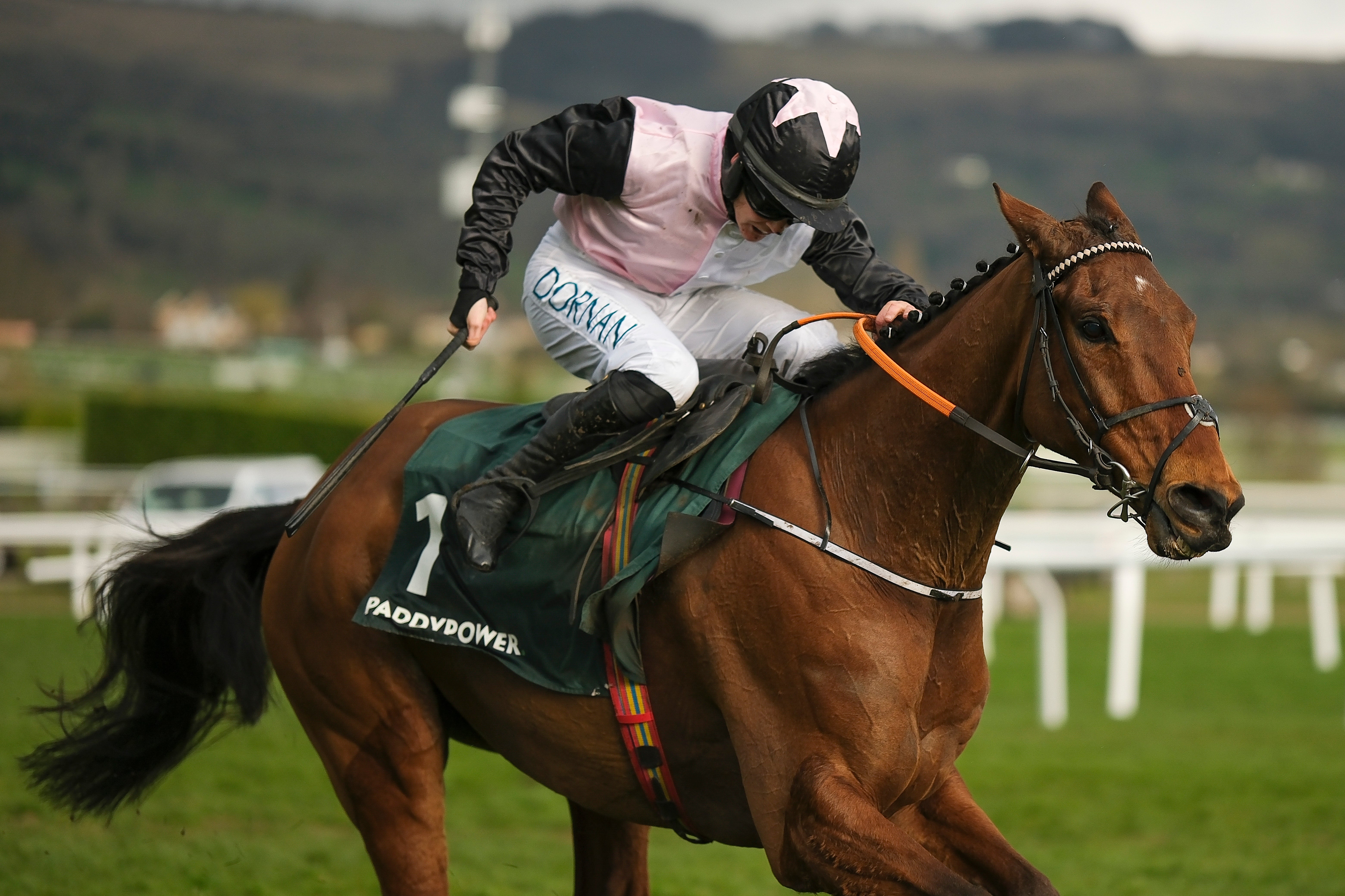 independent.co.uk - Chris Wilson - Stayers Hurdle betting odds: Latest prices, betting guide & trends