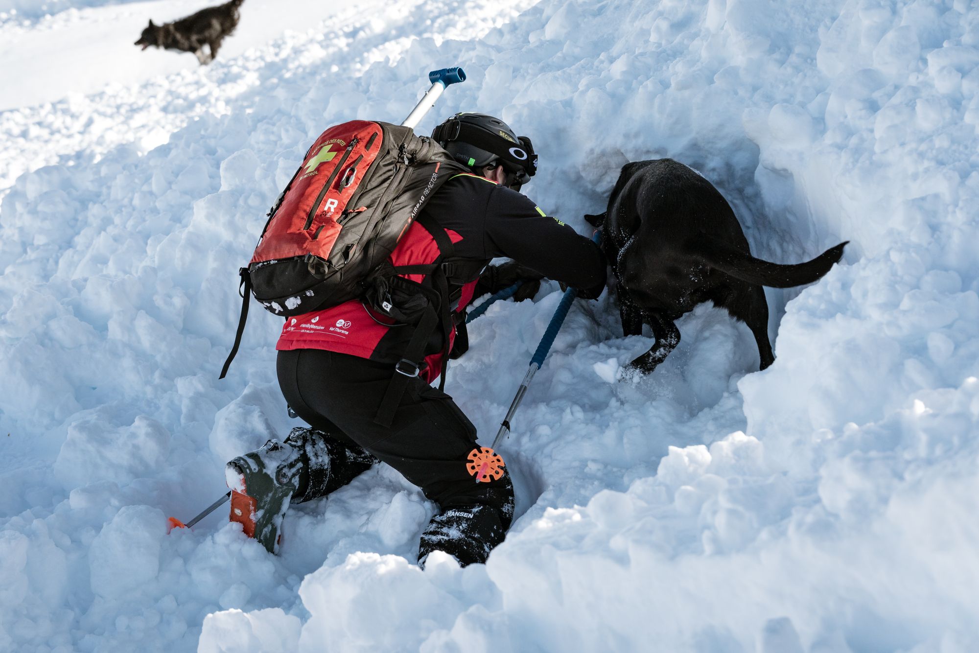Ski patrol dog carrying out a training avalanche rescue. (file photo)