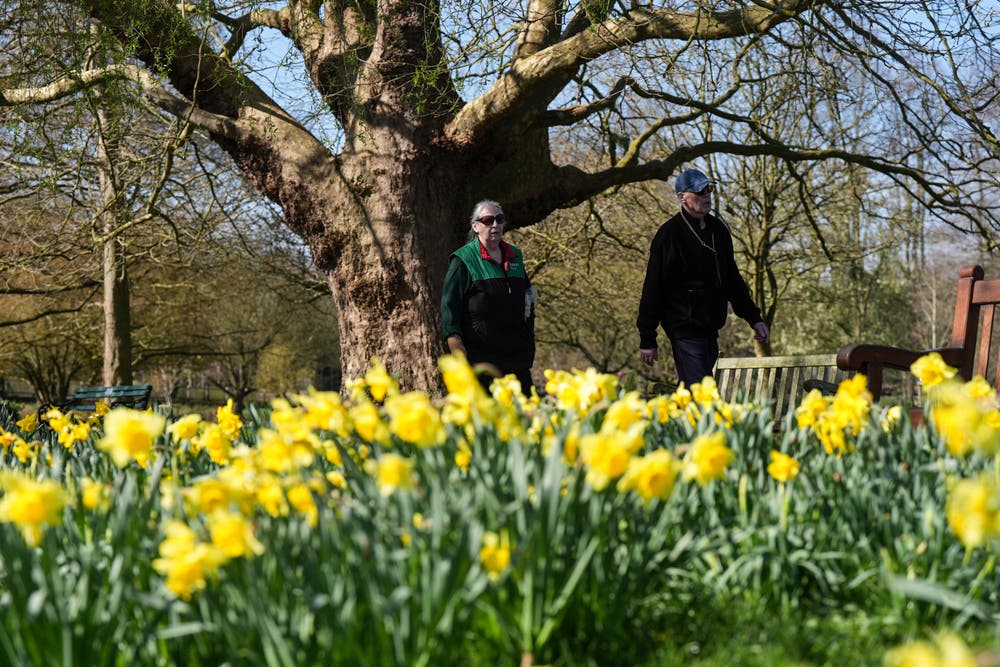 Spring During March Sunny start to spring as temperatures expected to climb above average ...