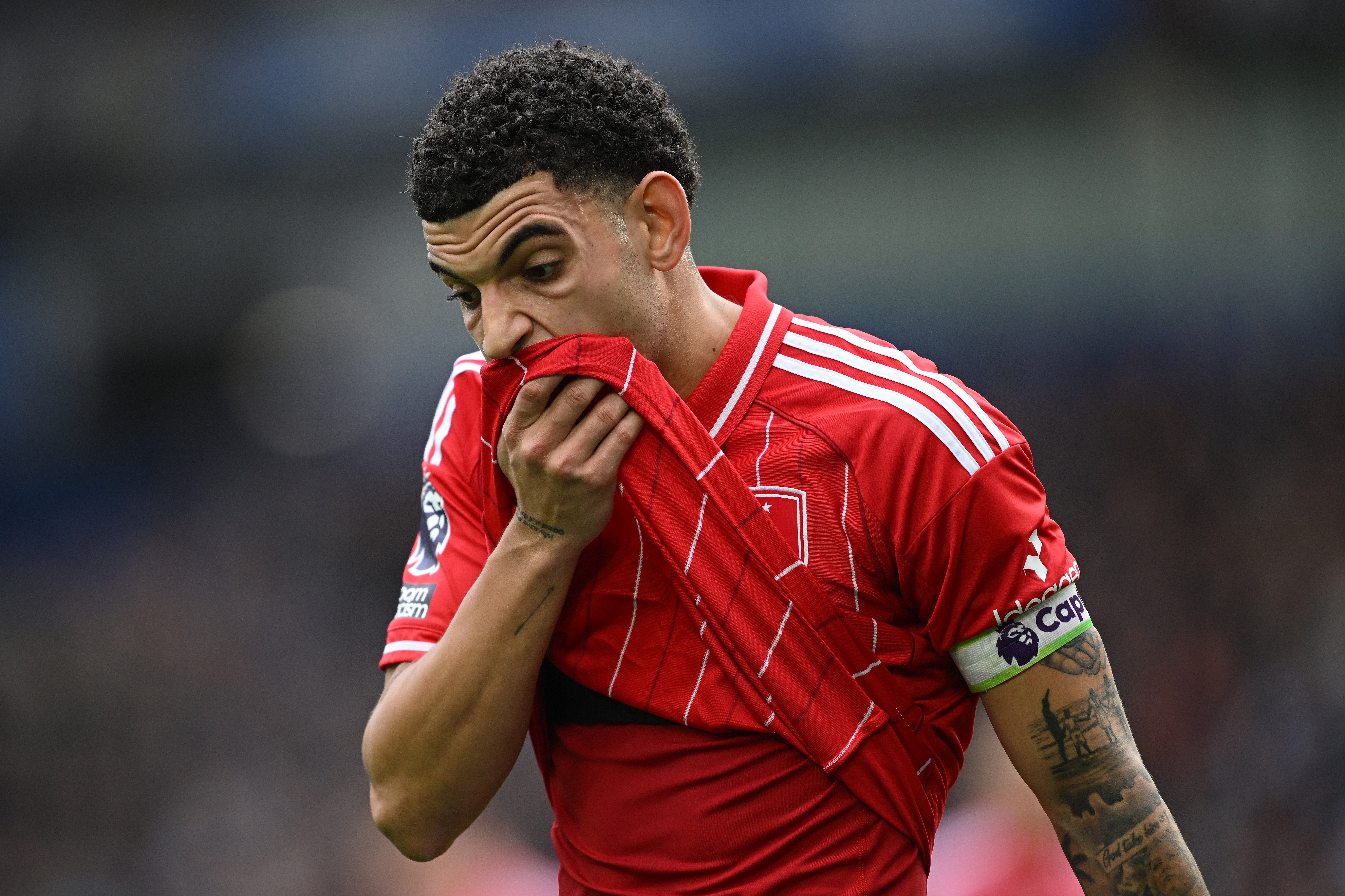 Forest succumbed to defeat at Brighton on the weekend