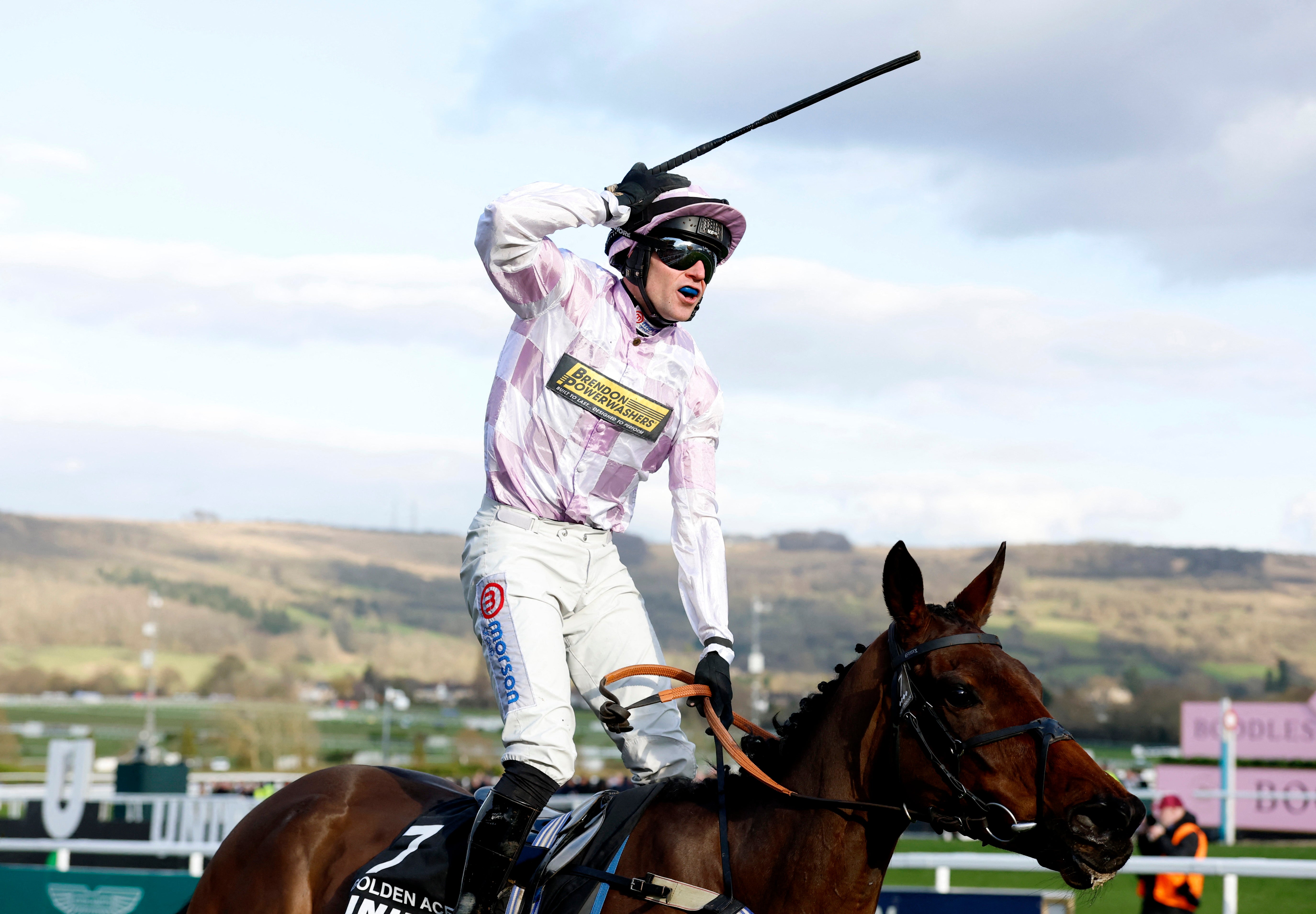 Golden Ace won the 2025 Champion Hurdle at the Cheltenham Festival