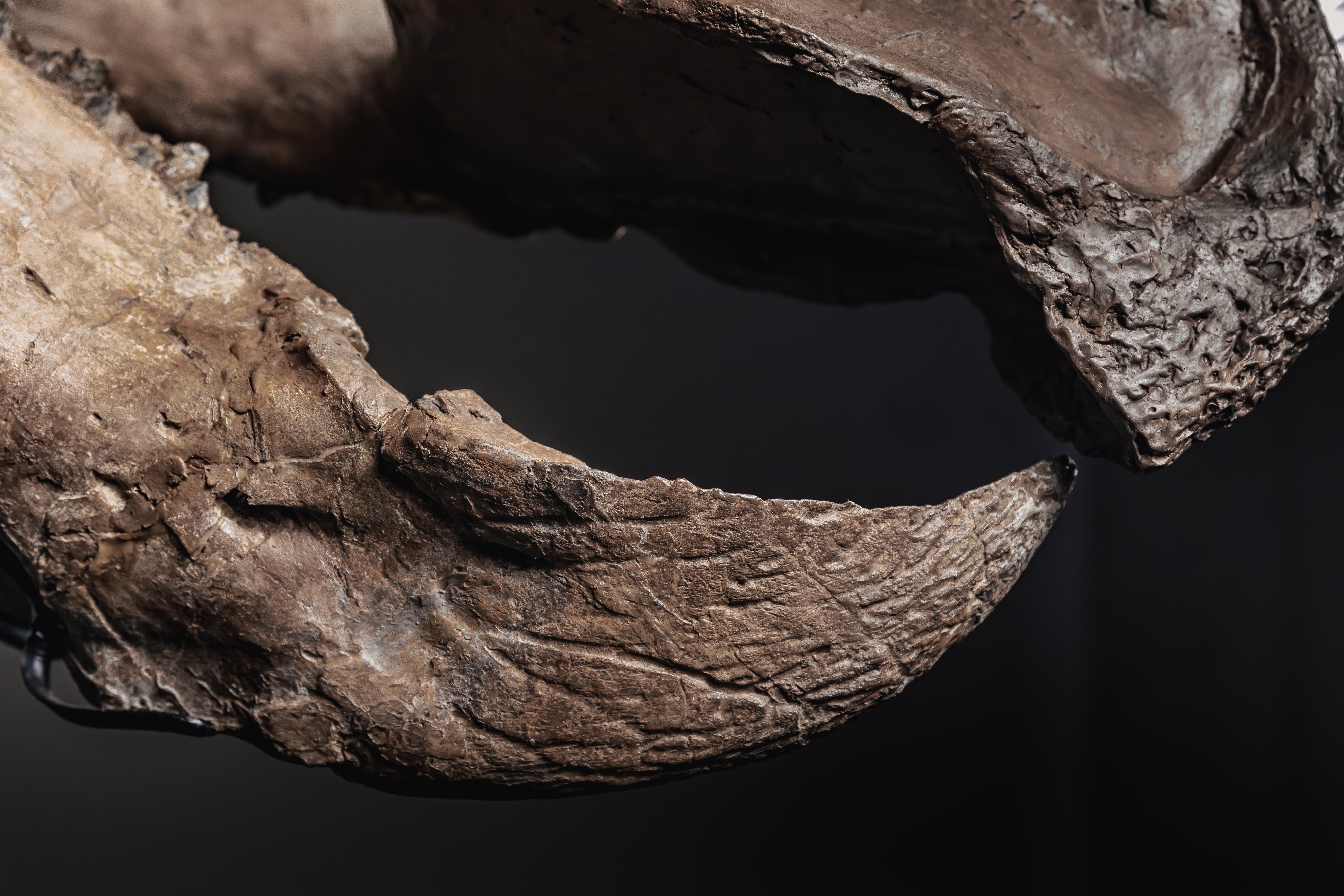 सांगाड्याचे मूल्यमापन $4.5 दशलक्ष ते $5.5 दशलक्ष पर्यंत आहे