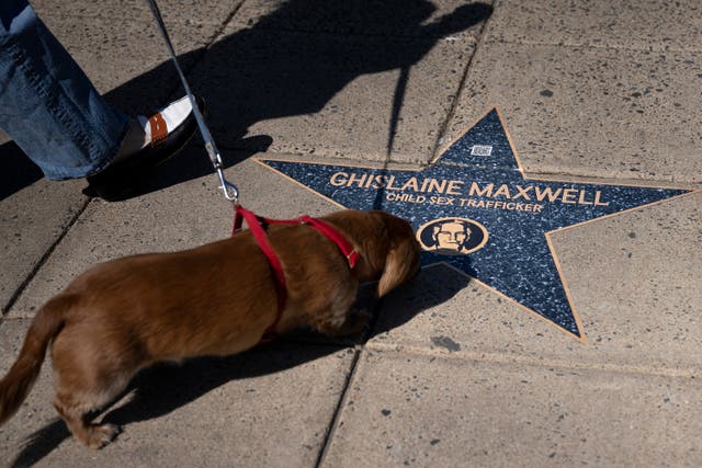 <p>La estrella de Ghislaine Maxwell en el "Paseo de la vergüenza de Jeffrey Epstein" en la plaza Farragut en Washington, D.C., el domingo 1° de marzo de 2026</p>