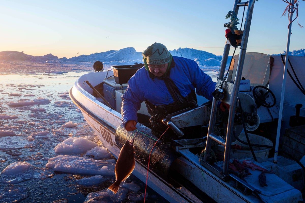 ‘It’s too warm’: Greenland’s fishermen are under threat from climate change – UK Times