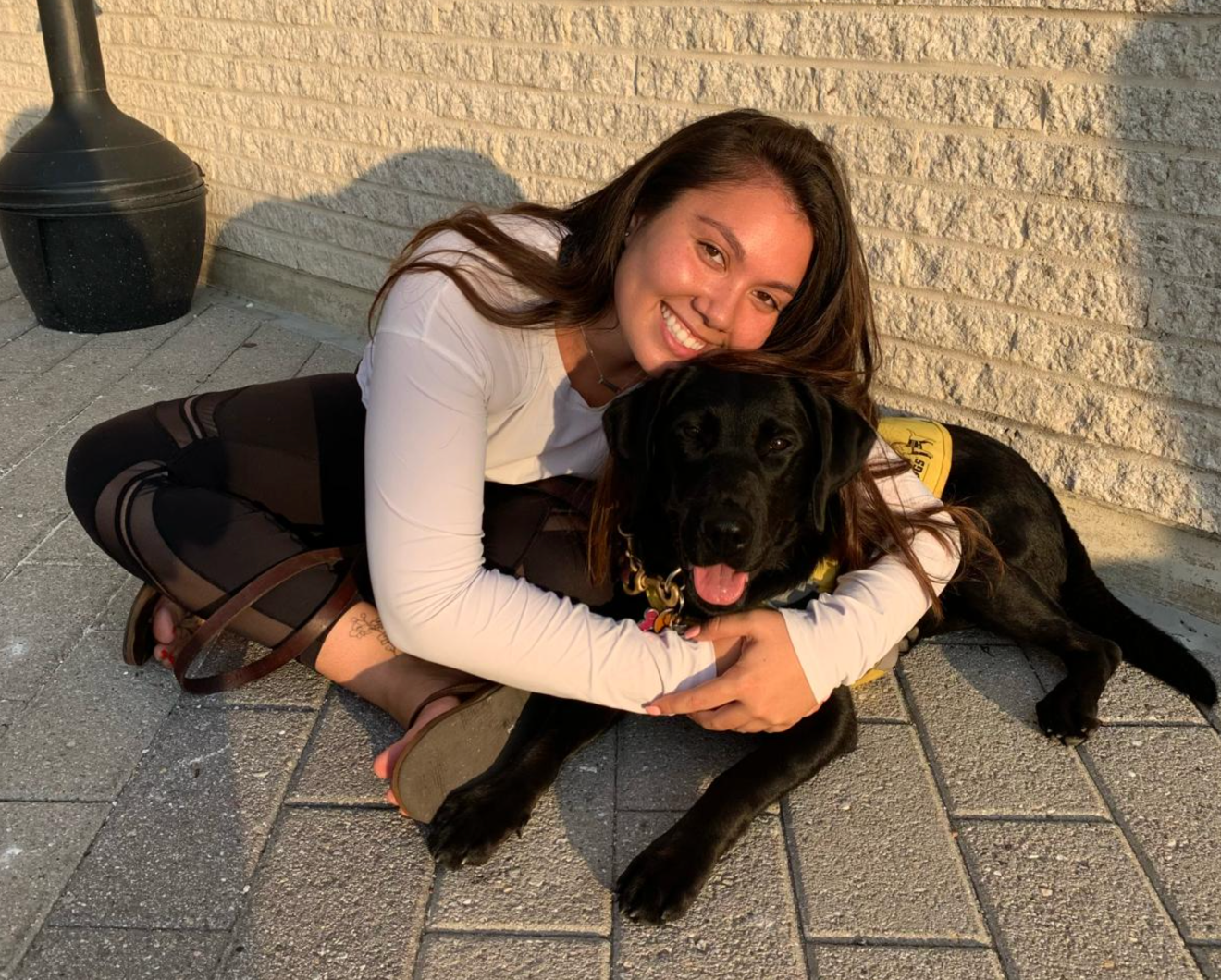 Dorm room - dog included! Students are raising puppies on campus as colleges embrace crash course in life skills
