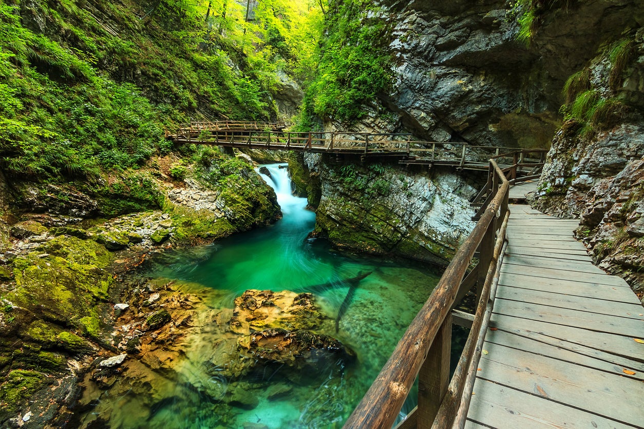 The wooden path that winds through Vintgar Gorge in Triglav National Park