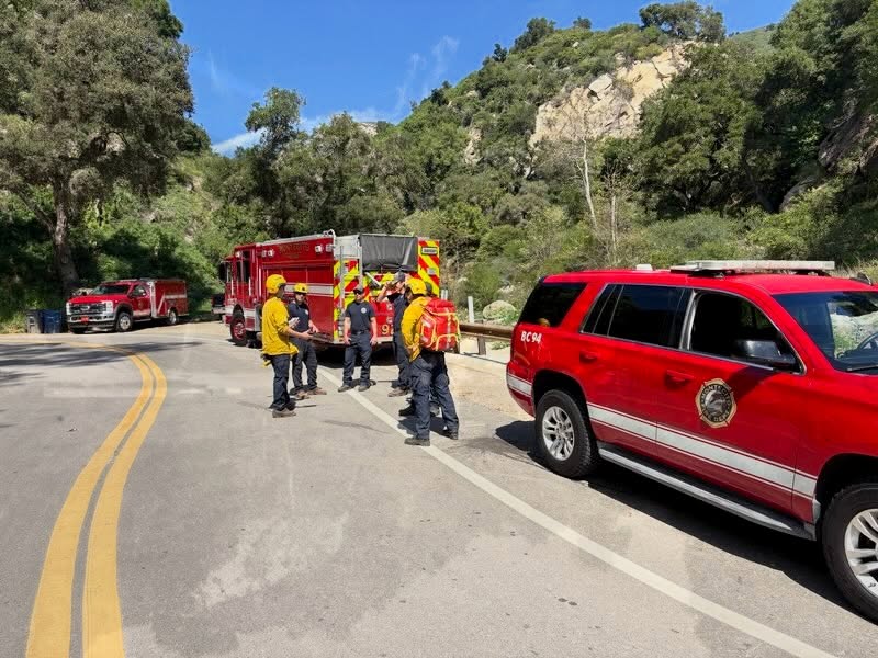 A California hiker was airlifted to the hospital after being stung by fire ants on a trail