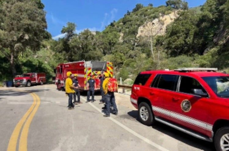 California hiker airlifted to hospital after being stung by fire ants on trail