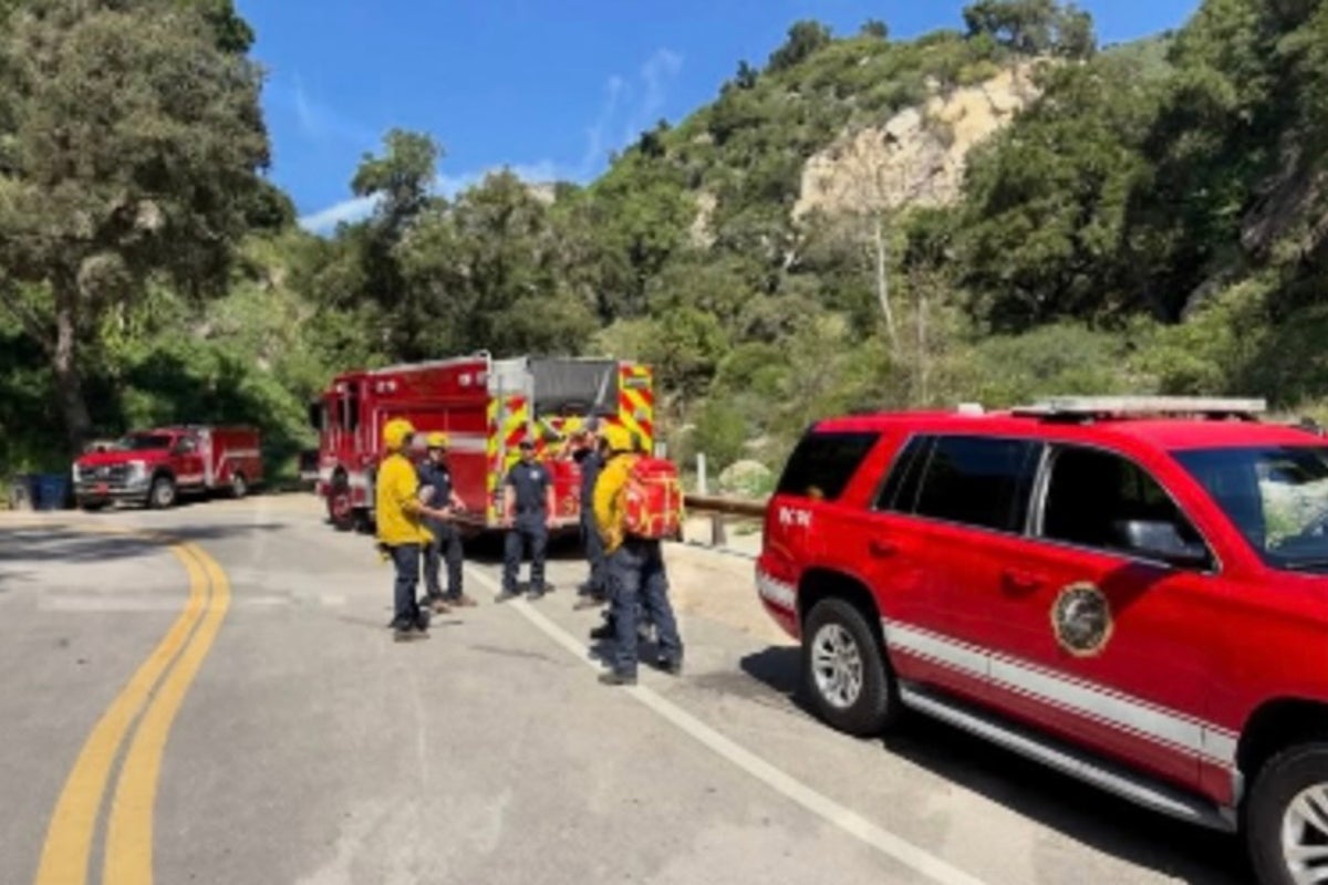California hiker airlifted to hospital after being stung by fire ants on trail California hiker airlifted to hospital after being stung by fire ants on trail