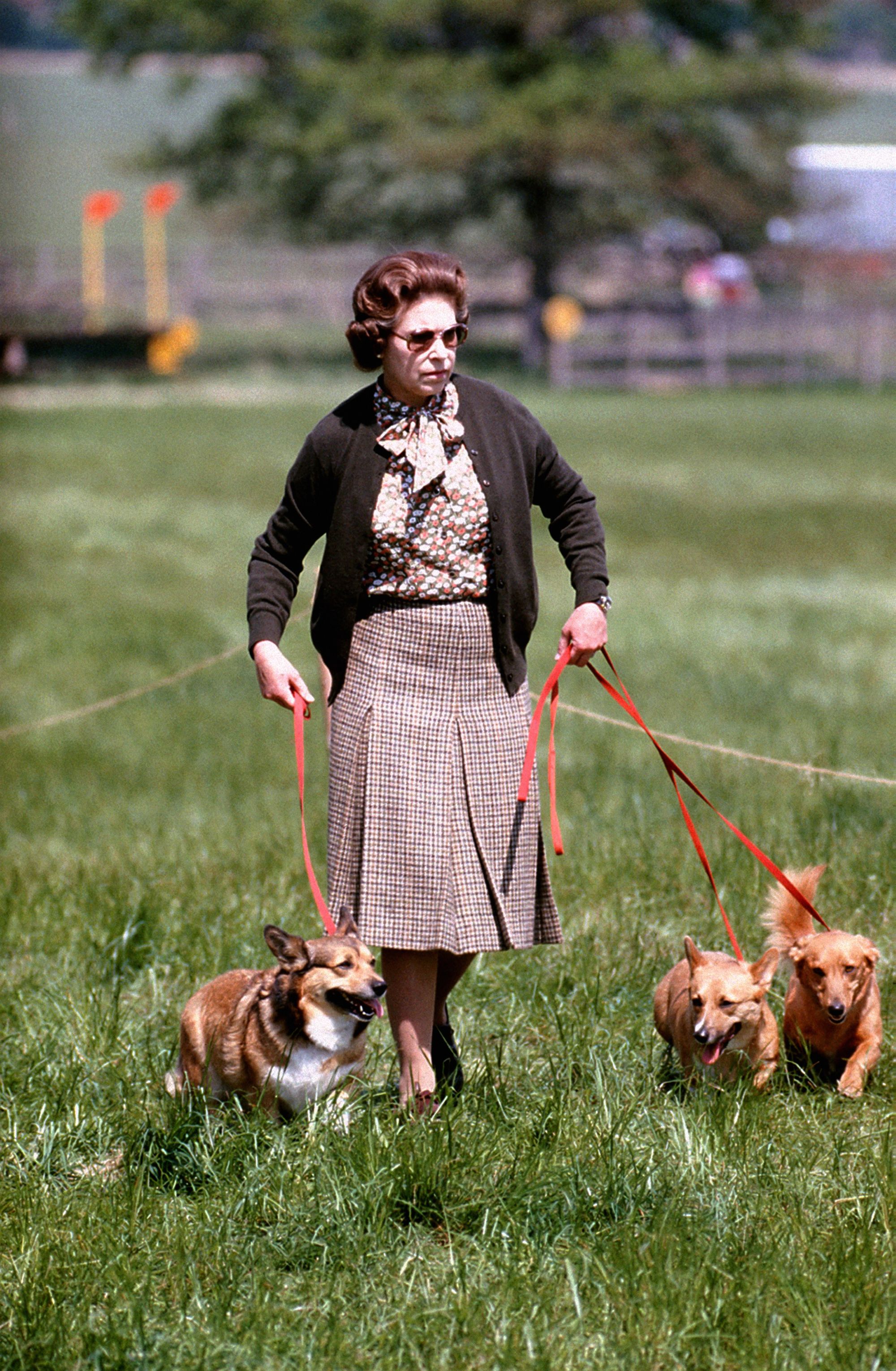 Queen Elizabeth II with some of her corgis walking the Cross Country course during the second day of the Windsor Horse Trials