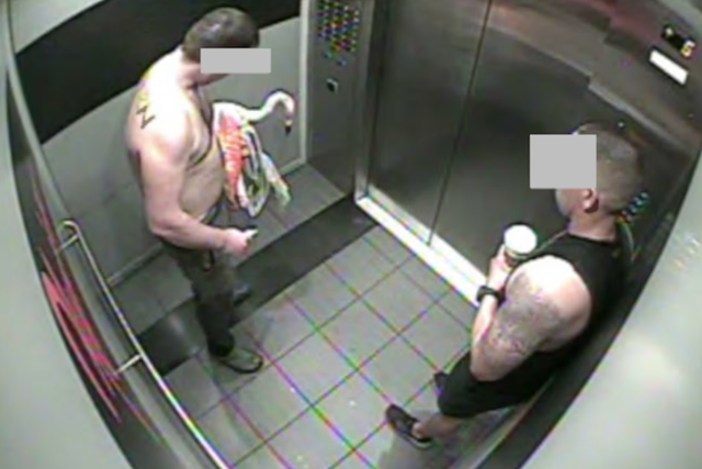 Man accused of stealing flamingo from Vegas casino testifies he drank a lot that day — like, a lot