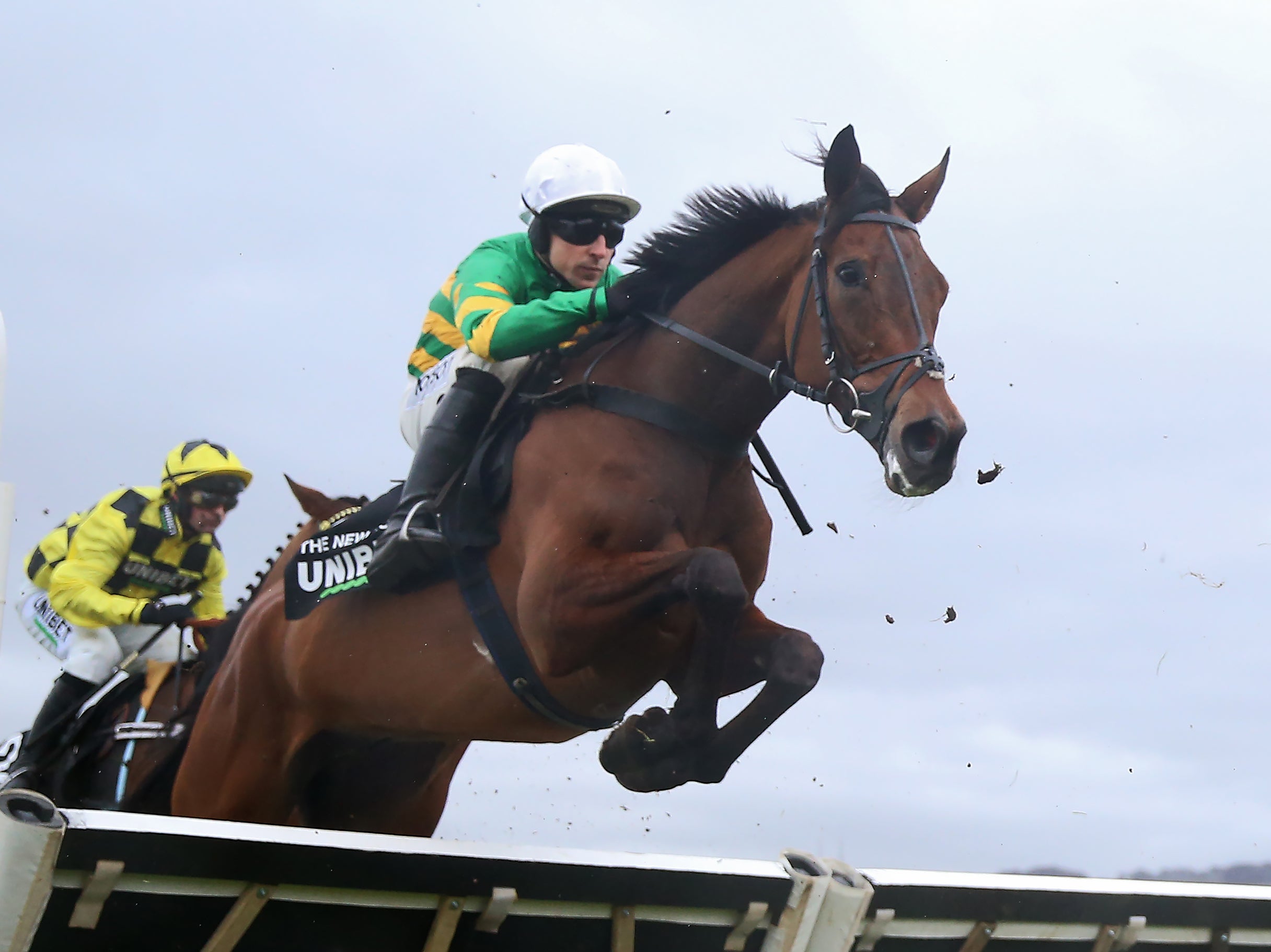 The New Lion headlines the opening day of the Cheltenham Festival