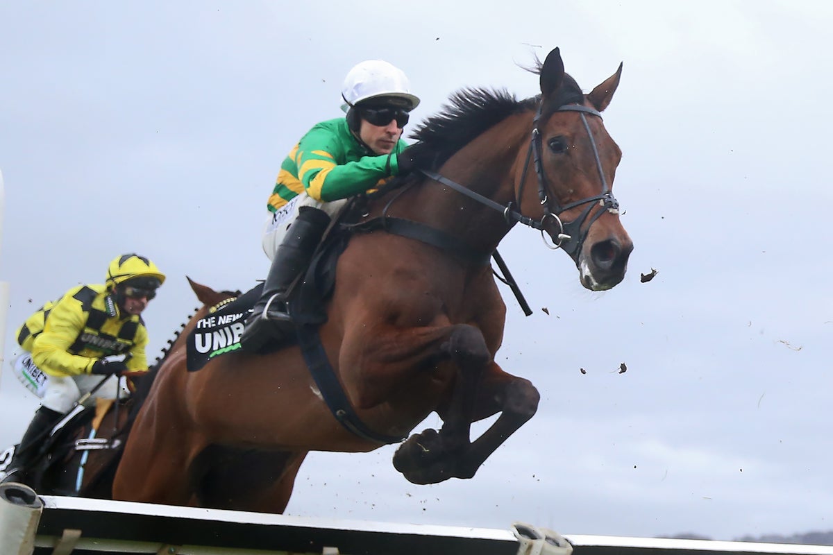 Cheltenham Festival 2026 tips: Experts’ best bets and 15 horses to watch on day one