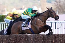 Why the Cheltenham Festival is set to be more unpredictable than ever before