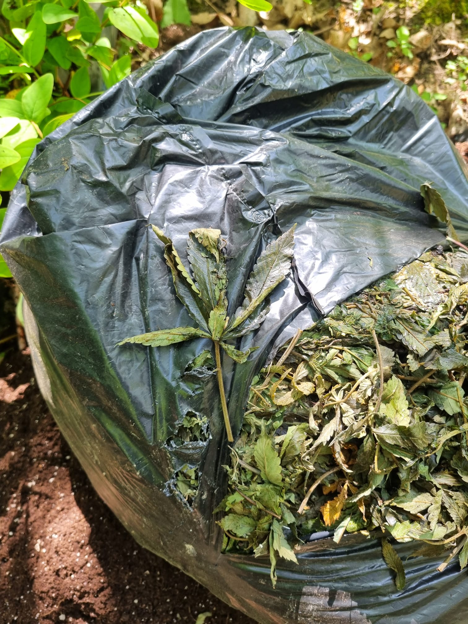 The waste has the potential to contaminate soil and watercourses, posing a significant threat to the rare and protected wildlife