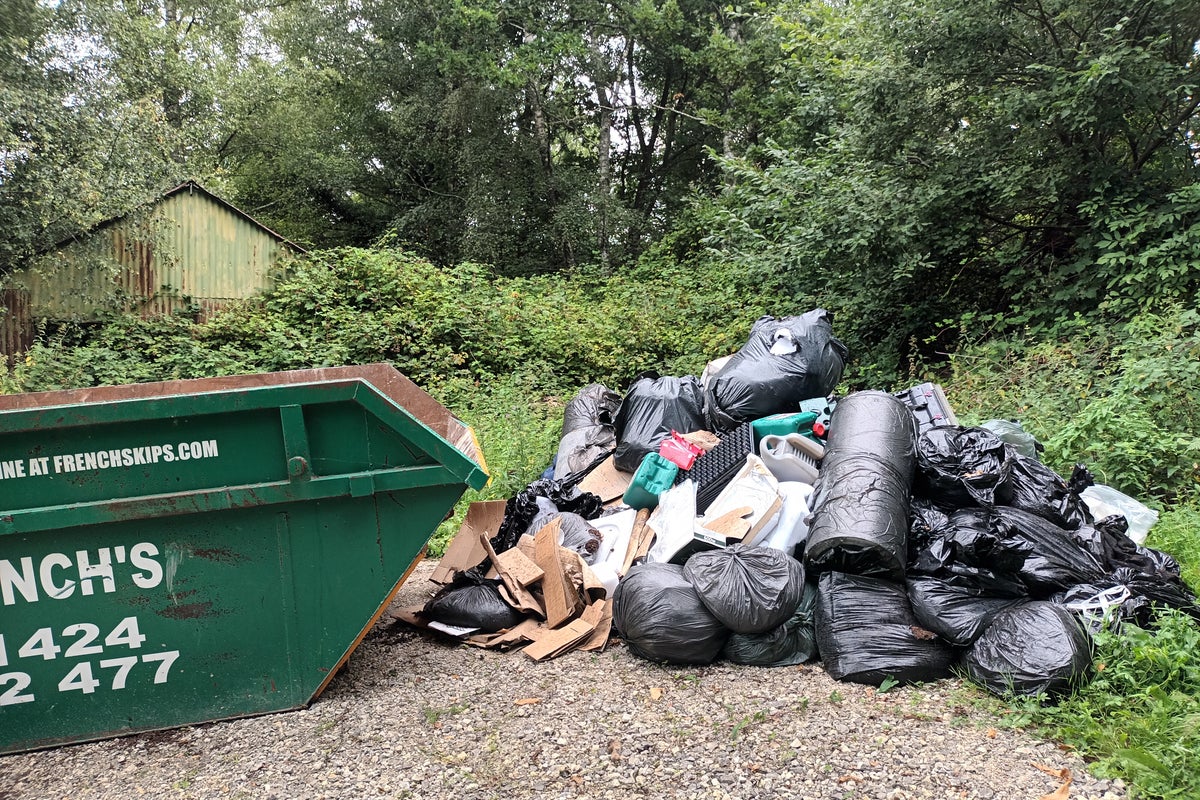 Four tonnes of cannabis farm waste dumped in ancient woodland in Sussex – UK Times Four tonnes of cannabis farm waste dumped in ancient woodland in Sussex – UK Times