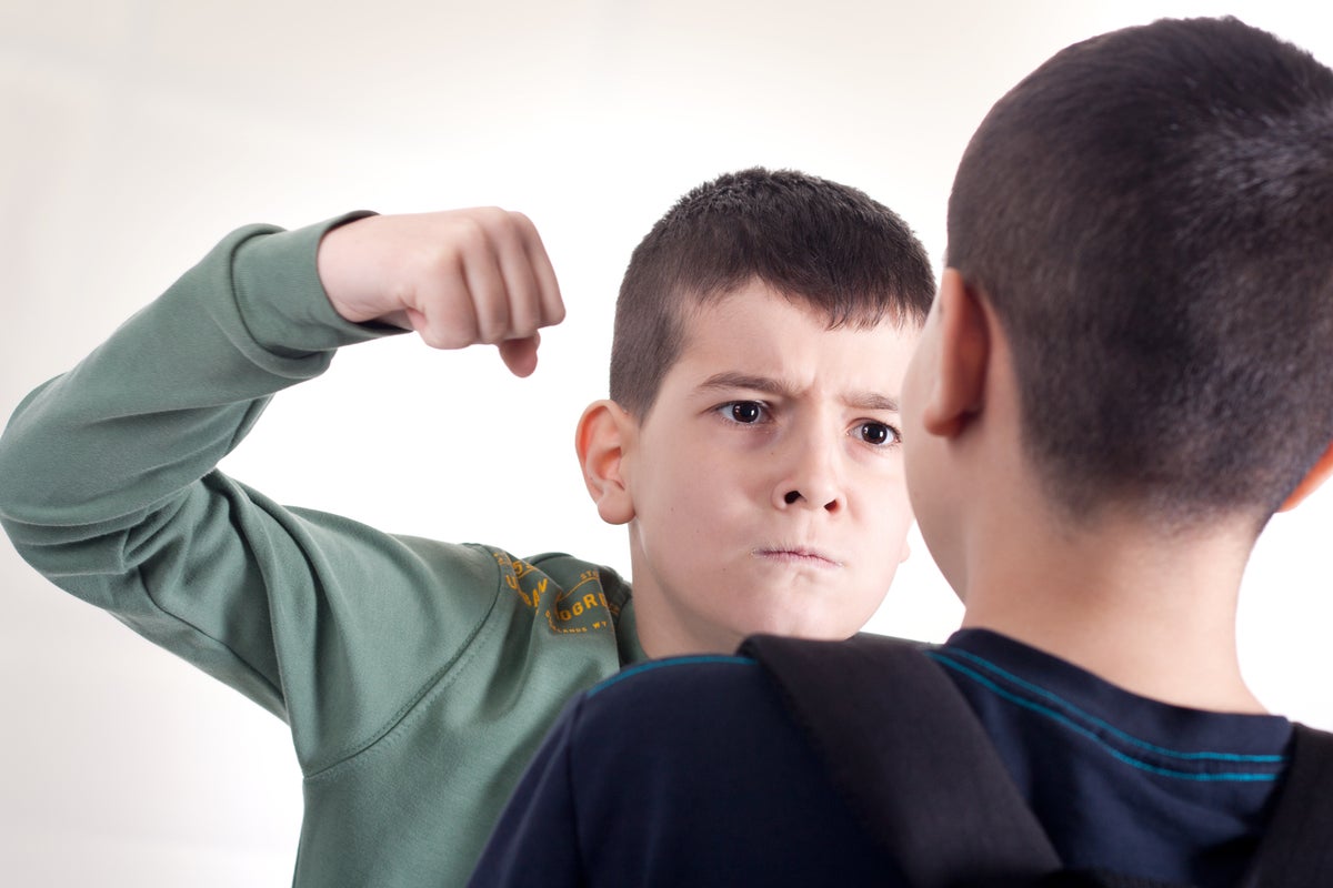 Aggressive teenagers may age faster and have a higher risk of health issues Aggressive teenagers may age faster and have a higher risk of health issues