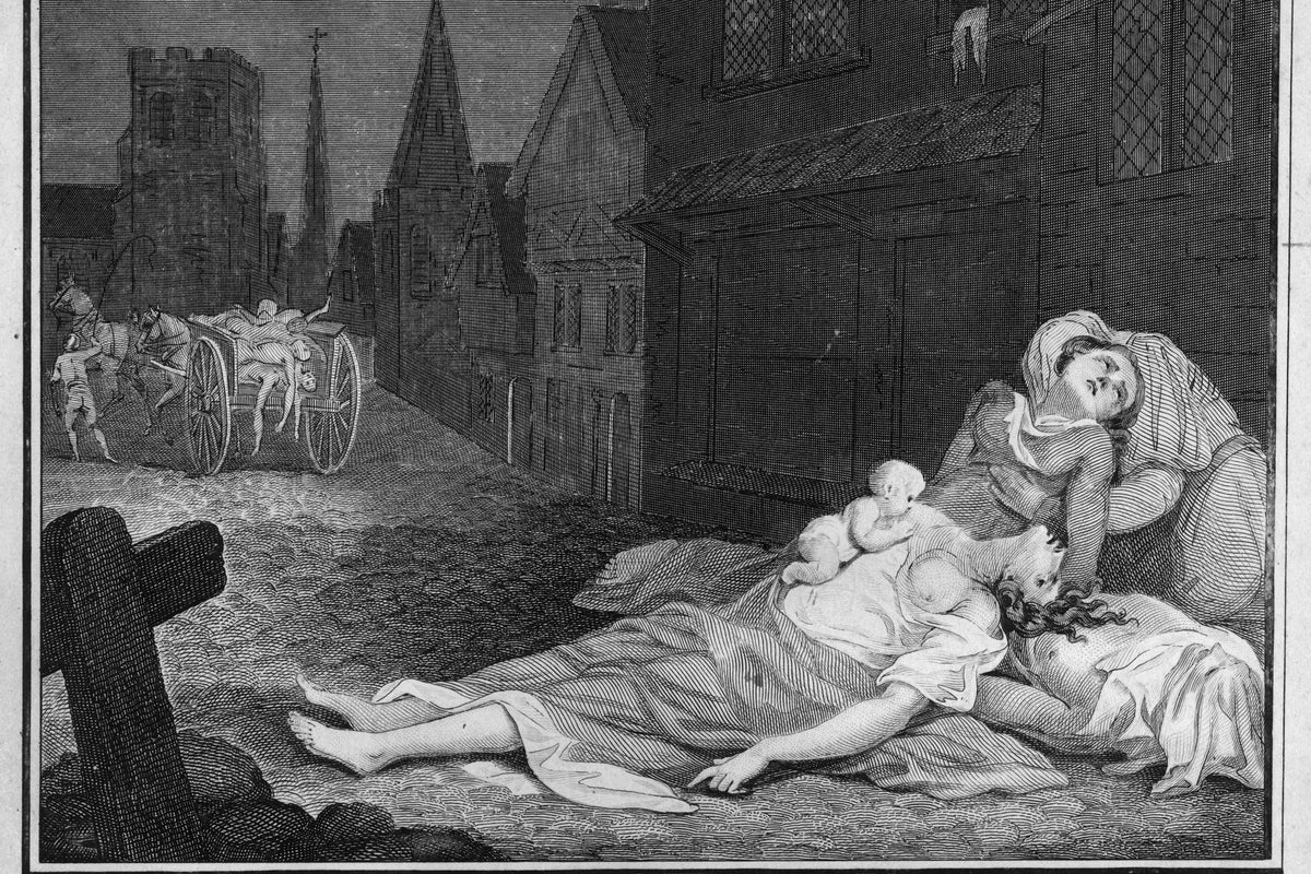 Scientists reveal why Black Death led to plant diversity plummeting across Europe