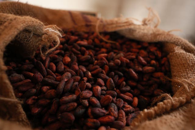 AFRICA-CACAO