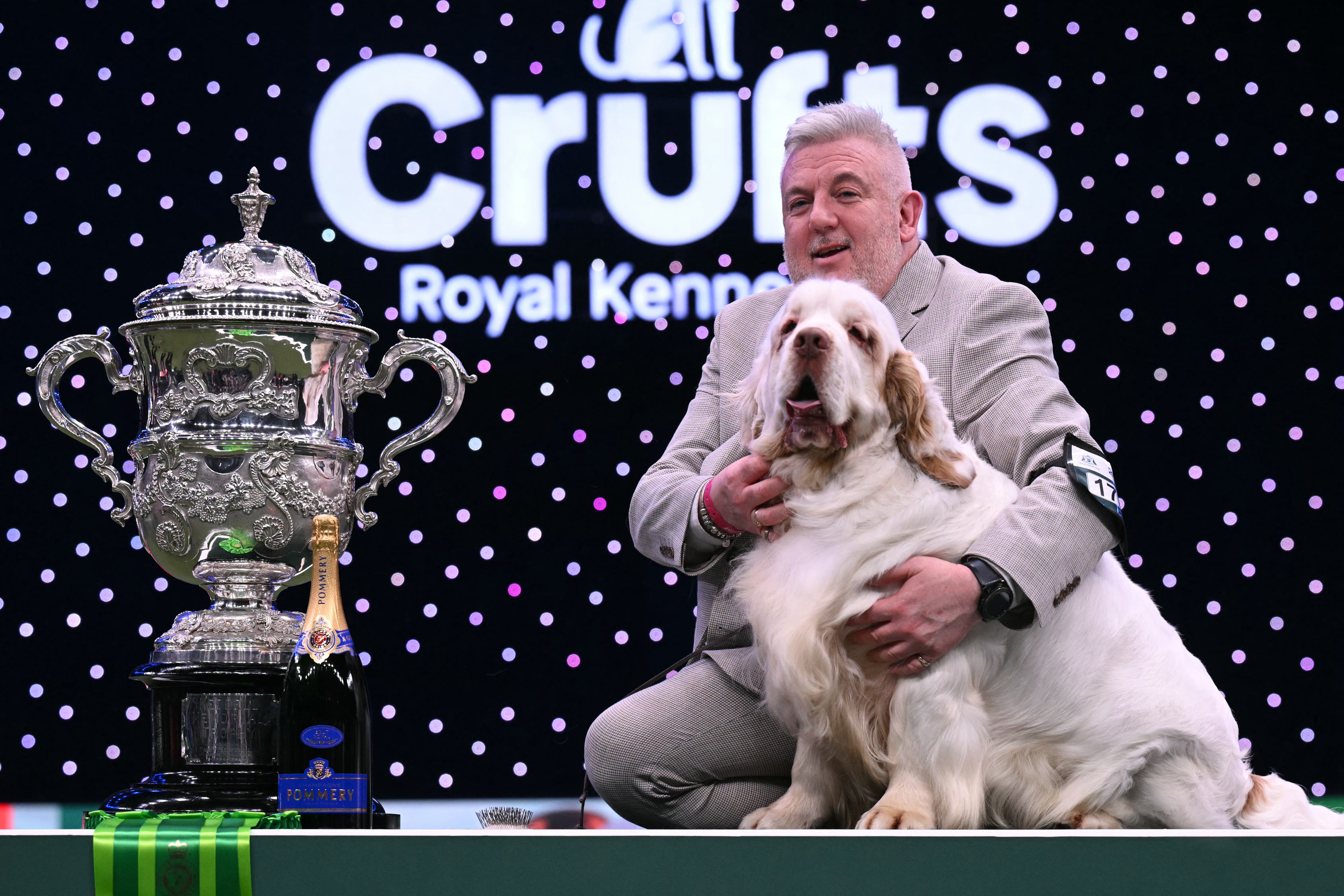 Lee Cox took first place at Crufts this year by winning the Clumber Spaniel Bruin.