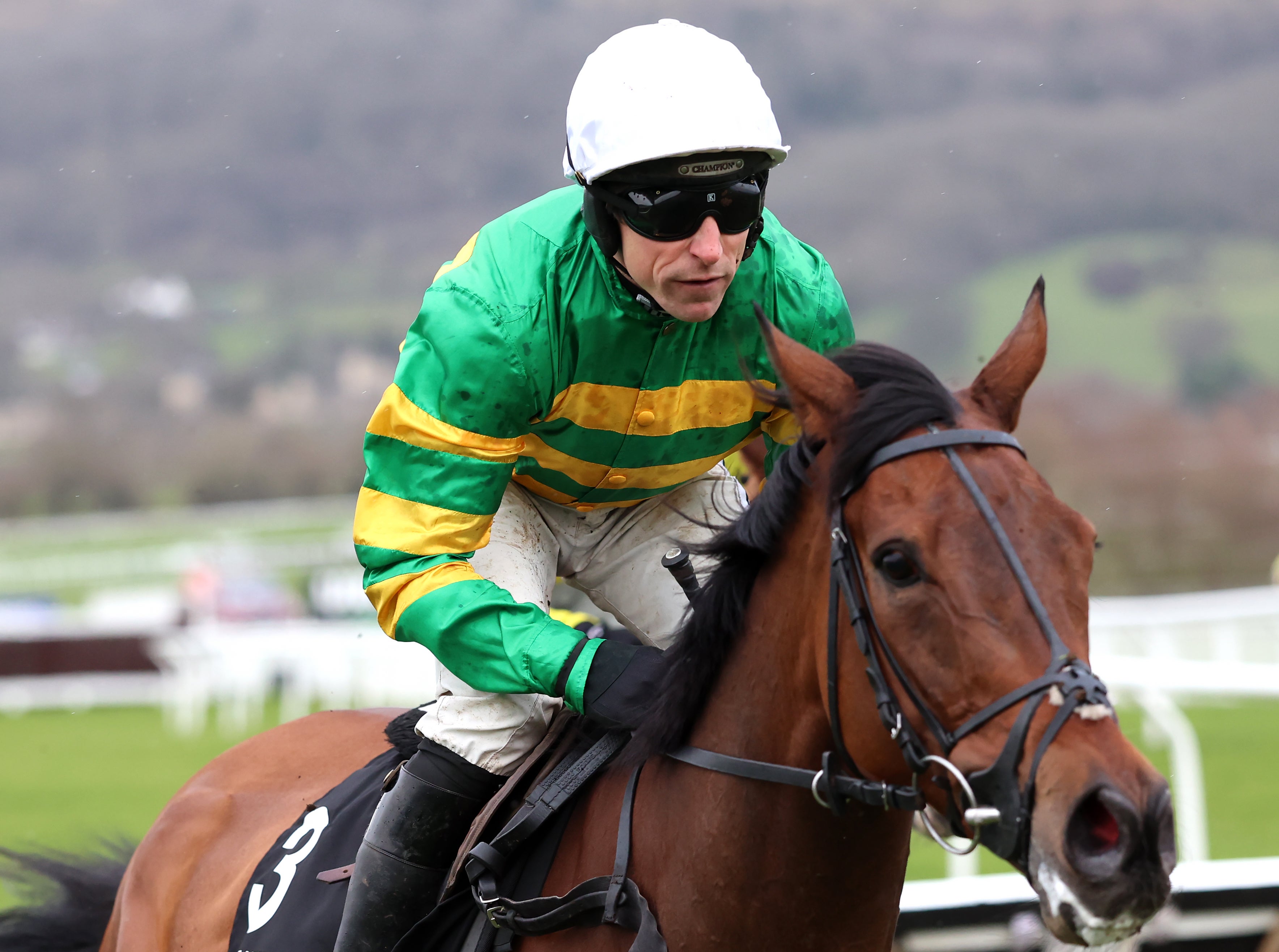 Cheltenham results in full: Every winner from 2026 Festival and today&rsquo;s racecard and runners