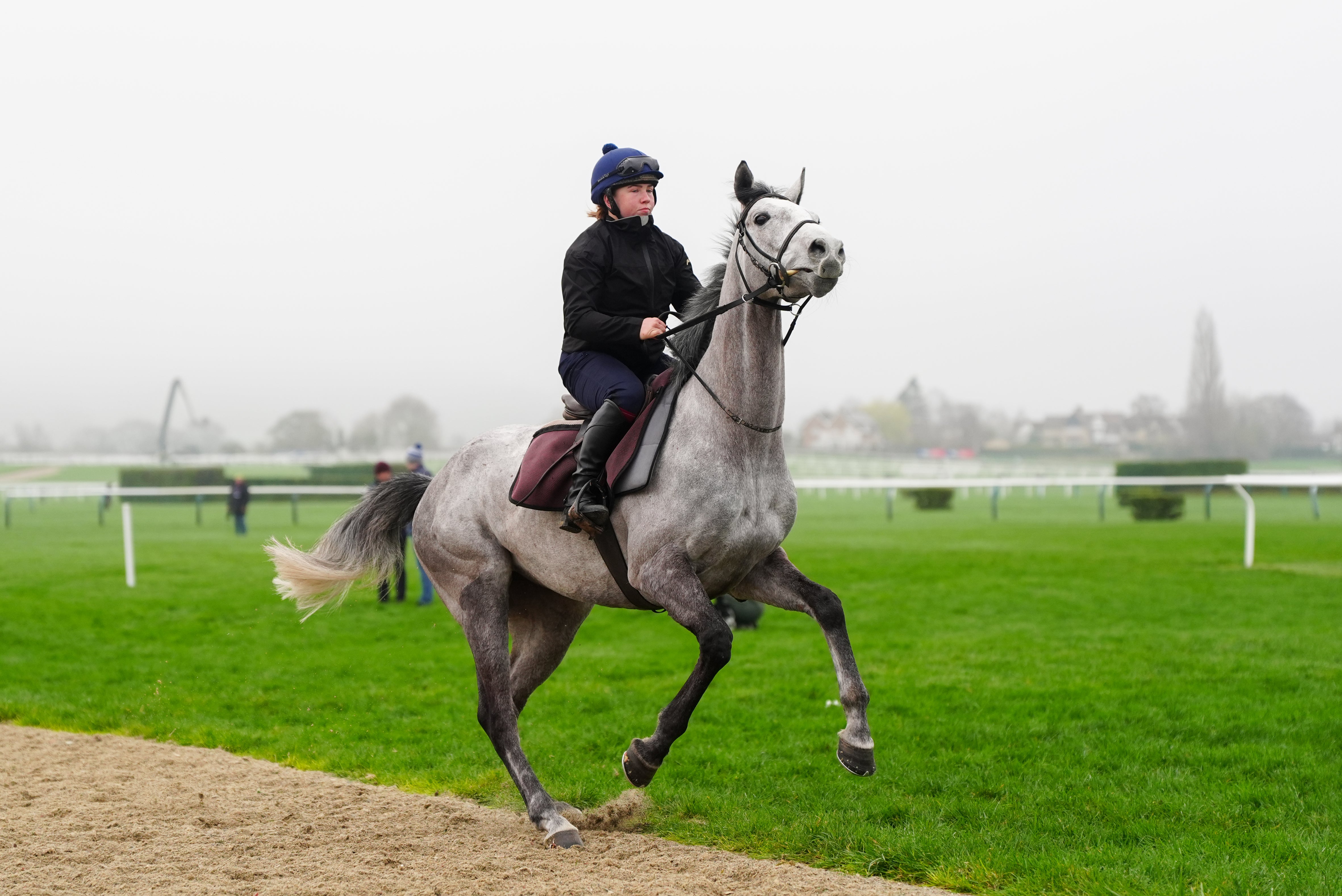 Lossiemouth, trained by Willie Mullins, on the gallops at Cheltenham